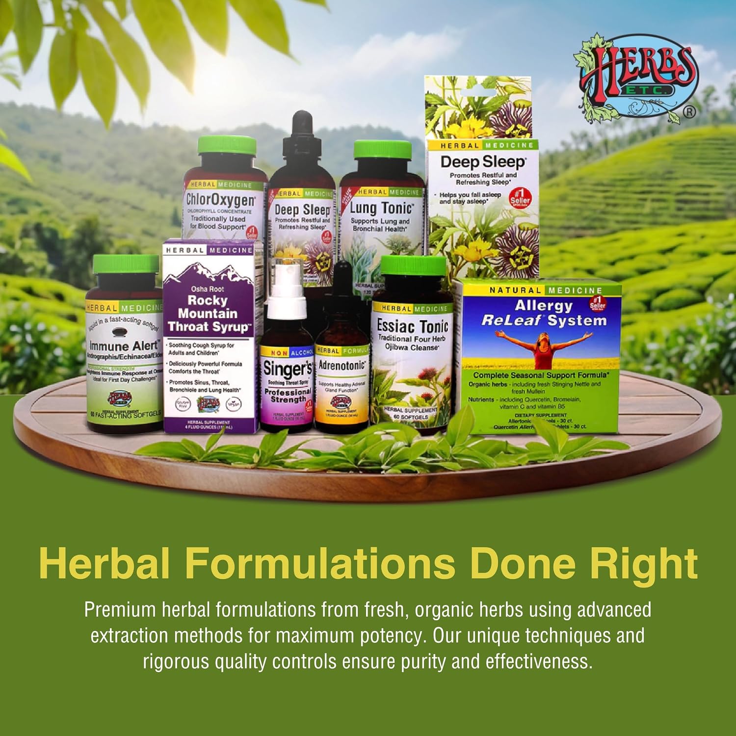 Herbs Etc. ChlorOxygen Chlorophyll Concentrate Softgels - High-Potency Chlorophyll for Detoxification Support - Deodorizing - Skin, Gut & Energy Support - 60 Count (60 Servings)