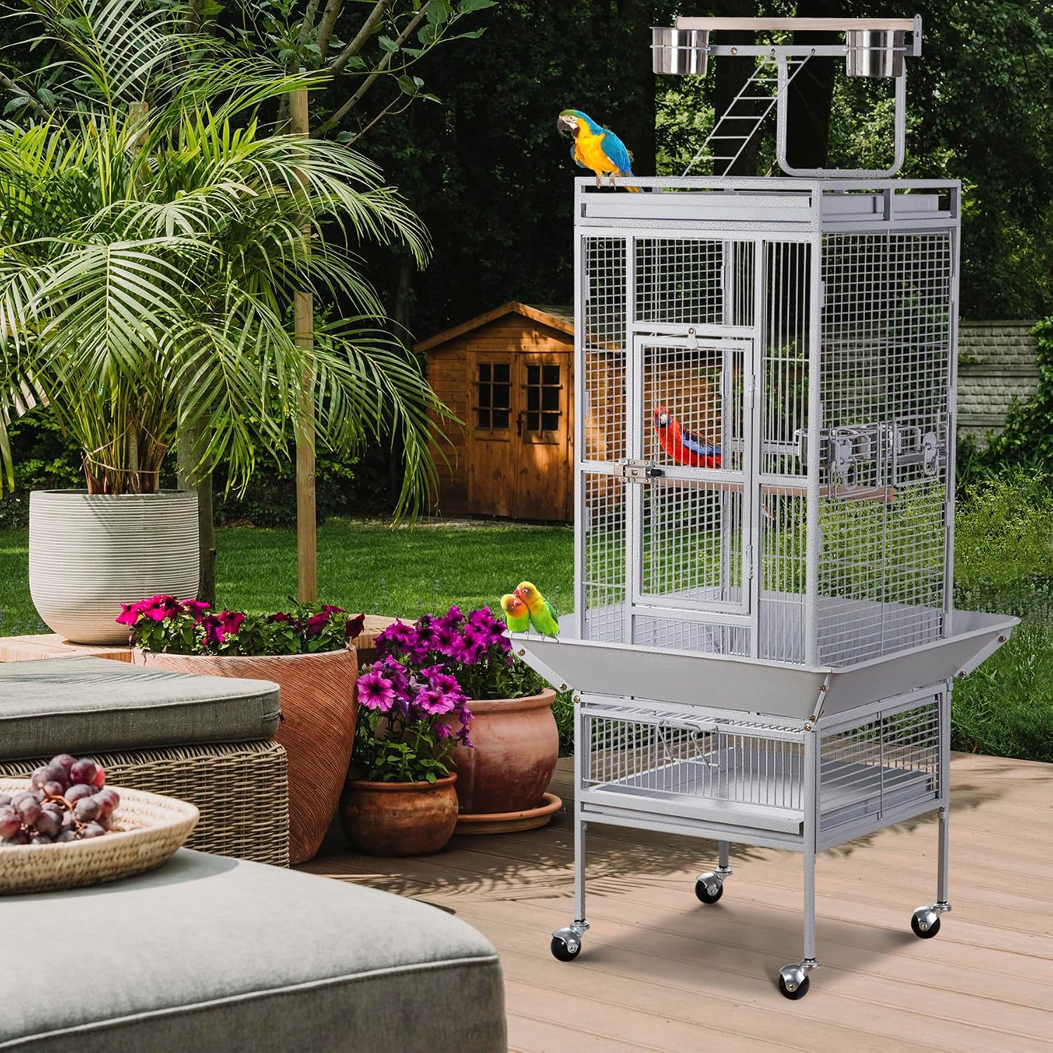 Nova Microdermabrasion 68-Inch Height Wrought Iron Standing Large Play Top Bird Cage for African Grey Small Quaker Parrot Cockatiel Sun Parakeet Green Cheek Conure Dove Budgie Lovebird