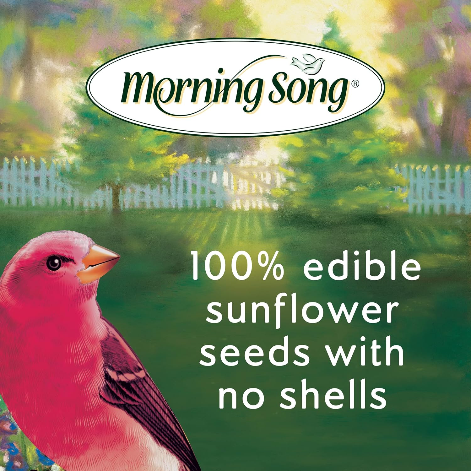Morning Song Sunflower Hearts & Chips Wild Bird Food, No Mess Sunflower Seeds for Birds, 5.5-Pound Bag | No Mess Sunflower Seeds for Birds