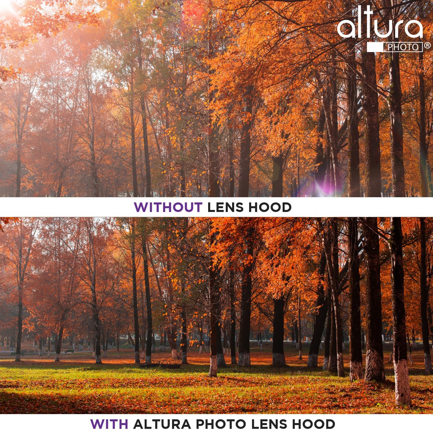 Altura Photo 58mm Camera Lens Hood for Canon Rebel T7, T6, EOS Accessories | Blocks Glare & Protects Your Lens from Bumps, Easy Snap-On Fit