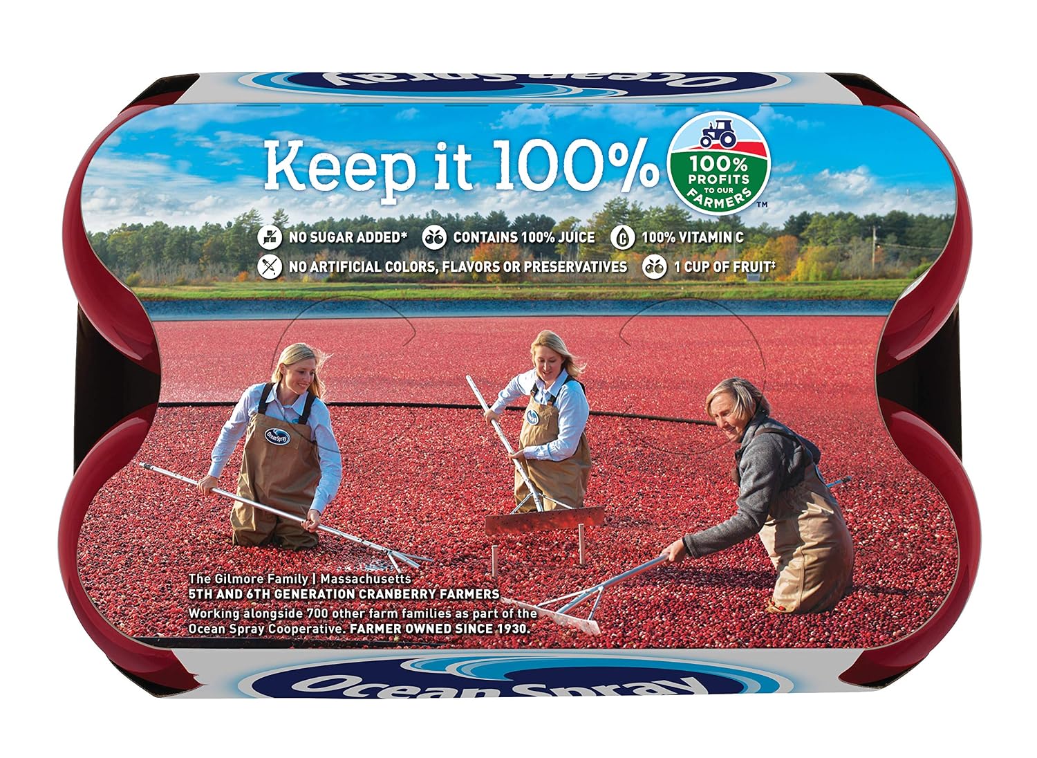 Ocean Spray 100% Juice, Cranberry Juice, 10 Ounce Bottle (Pack of 6)