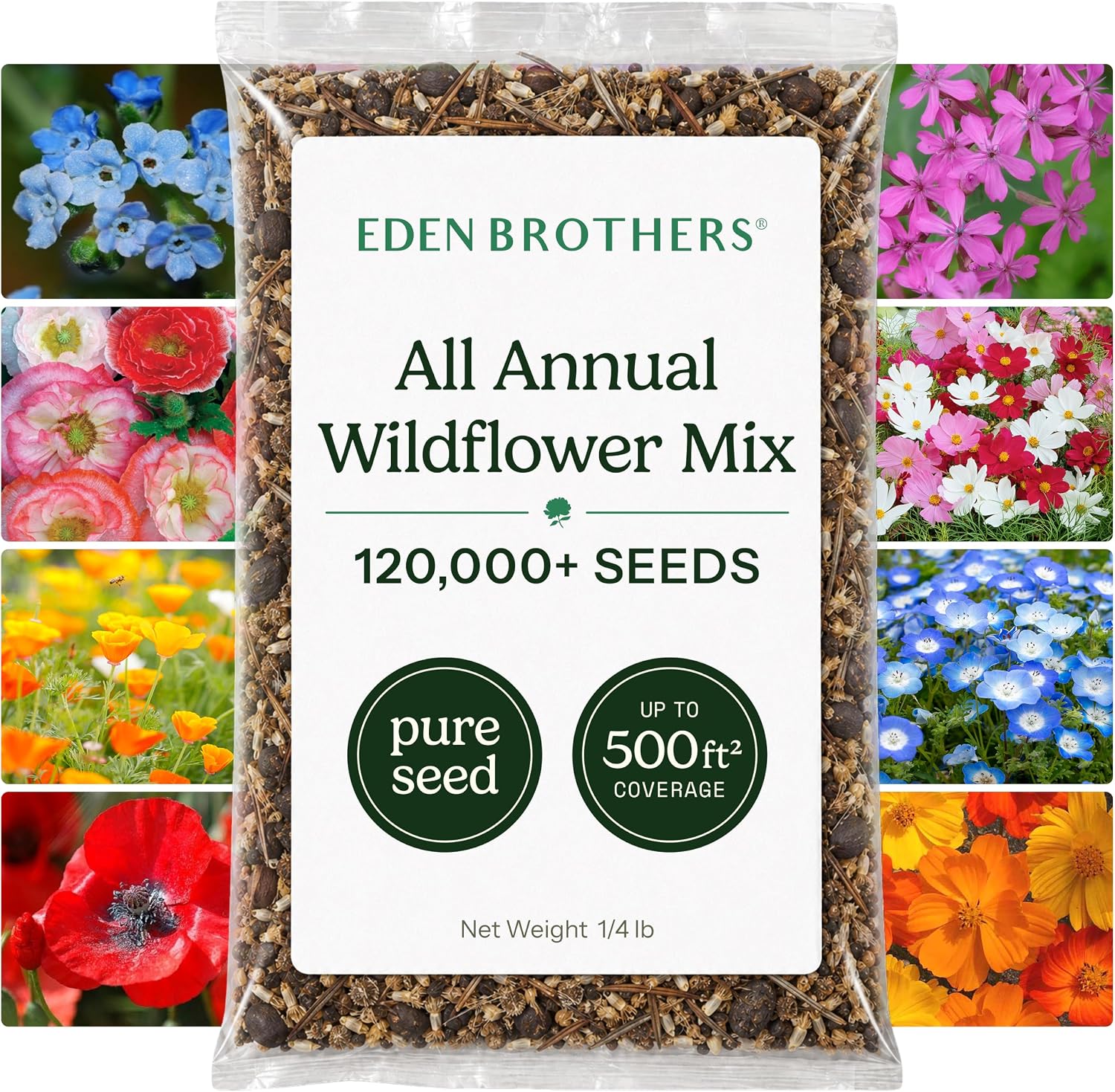 Eden Brothers All Perennial Wildflower Mixed Seeds for Planting, 1 lb, 480,000+ Seeds with Lupine, Shasta Daisy | Attracts Pollinators, Plant in Spring or Fall, Zones 3, 4, 5, 6, 7, 8, 9, 10