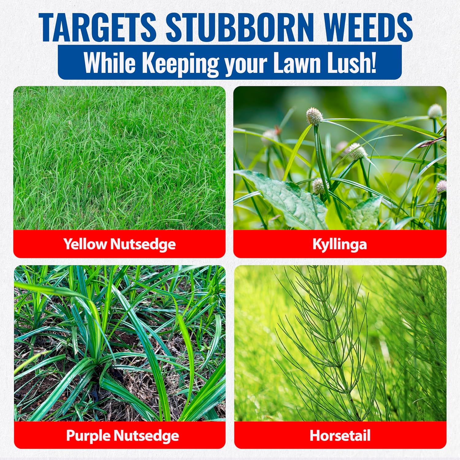 Sedgehammer 51516 Nutsedge Herbicide | Kills Yellow and Purple Nutsedge, Green Kyllinga, Selective Weed Killer for Lawns, Gardens and Landscapes