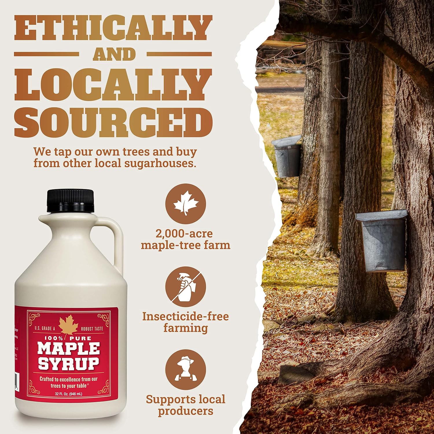 Grade B Maple Syrup 32 Oz Jug – 100% Pure Maple Syrup (Now Grade A Dark) Bold