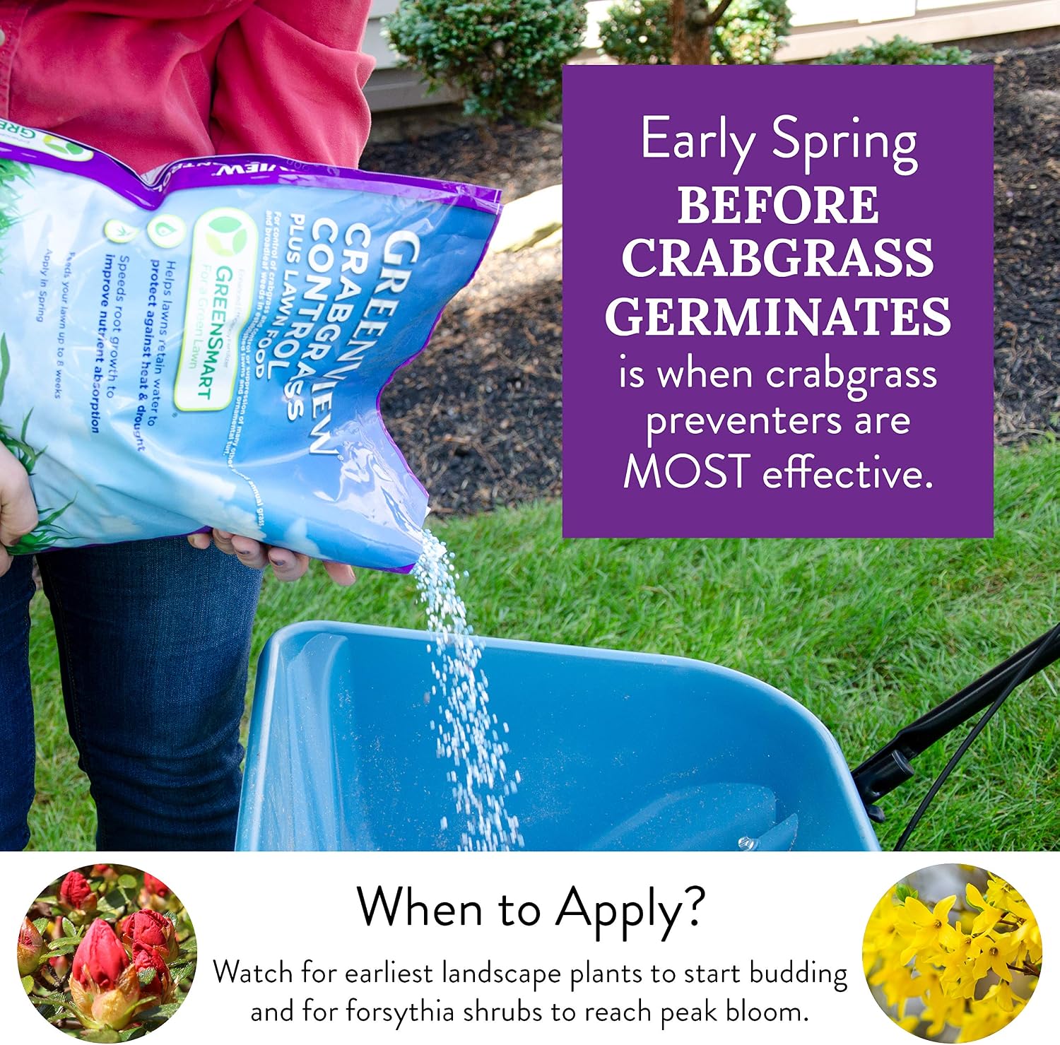 GreenView Crabgrass Control Plus Lawn Food - 40.5 lb. Bag - Covers 15,000 sq. ft.