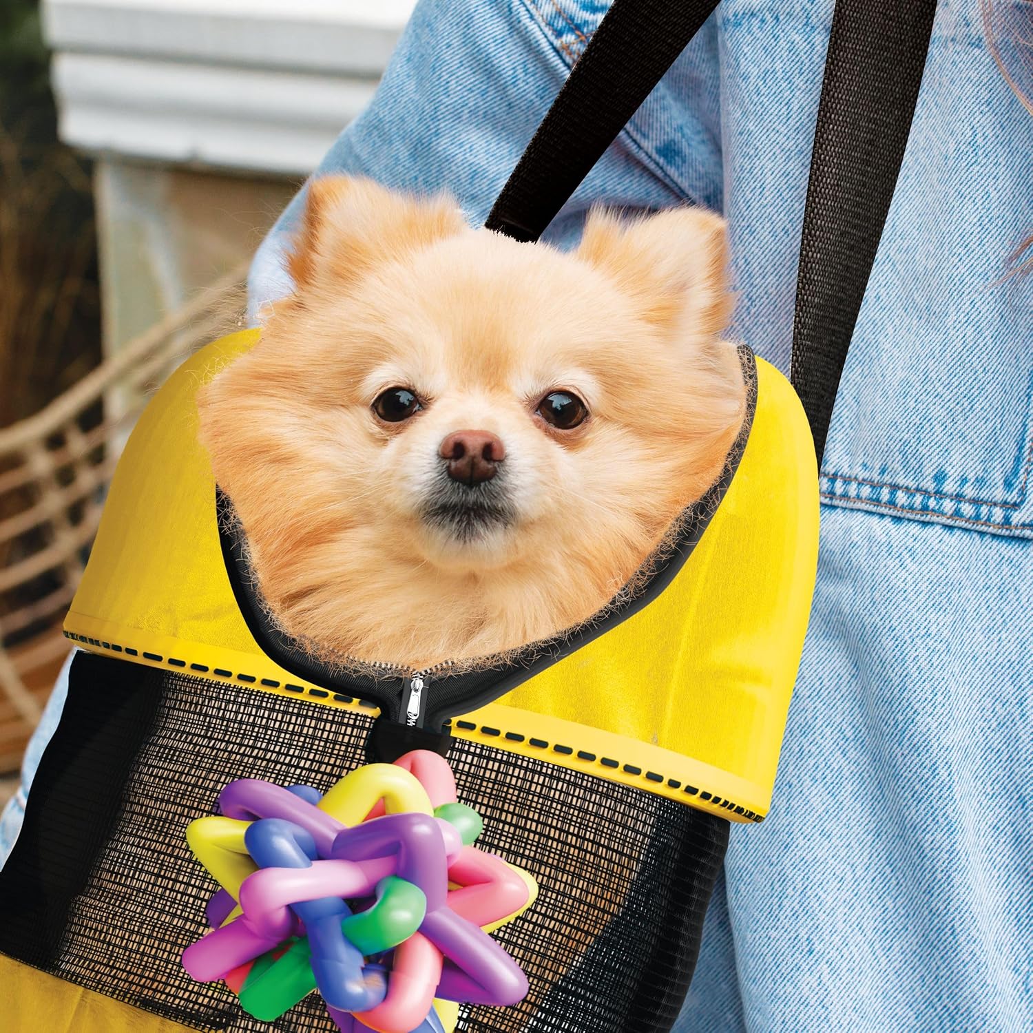 17" Soft Sided Cat and Dog Pet Carrier Bag for Travel with Bonus Toy Ball - Ideal and Compatible for Small Cats and Dogs - Versatile and TSA Airline