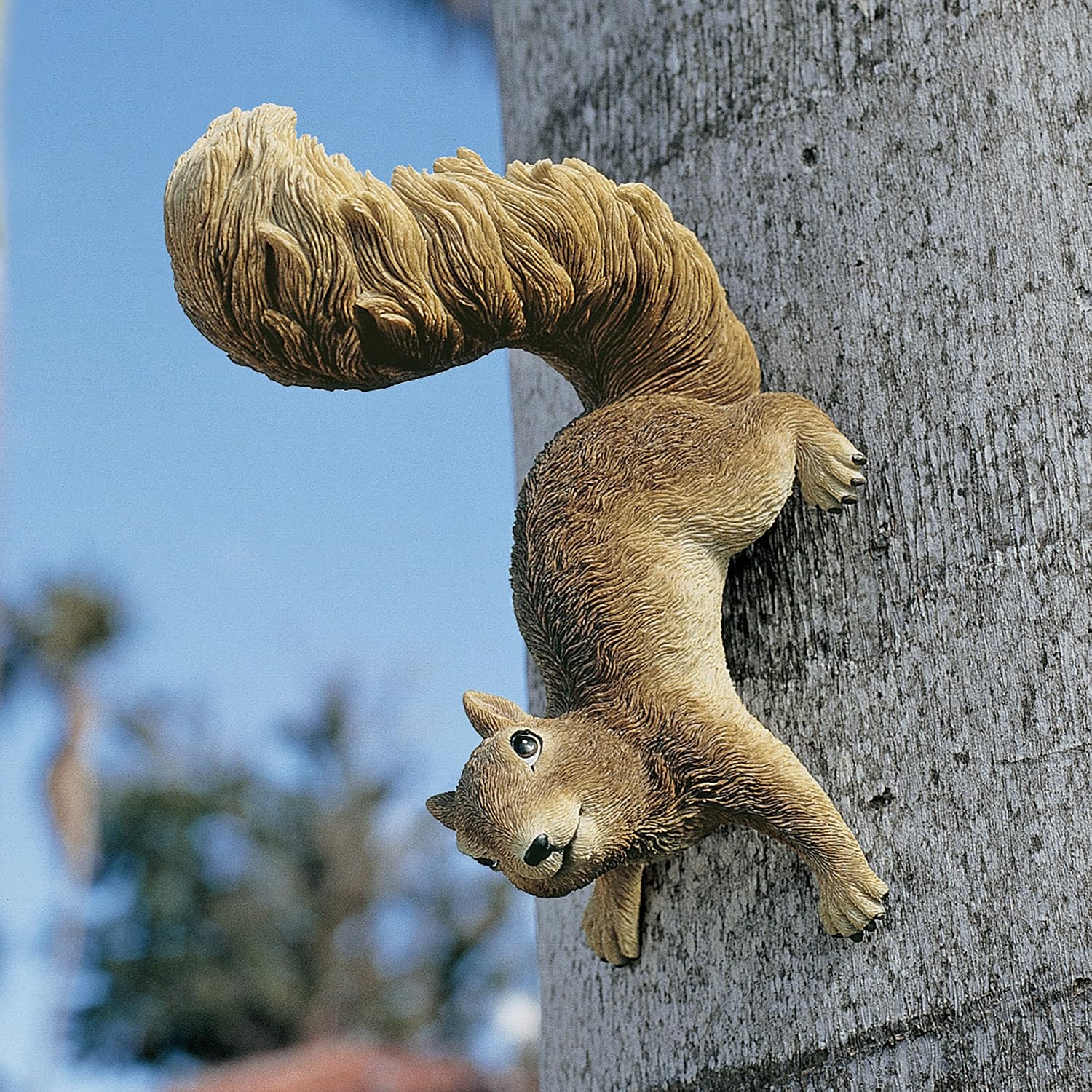 Design Toscano Simone, The Squirrel Hanging Sculpture