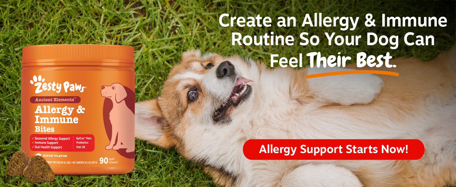 dog allergies