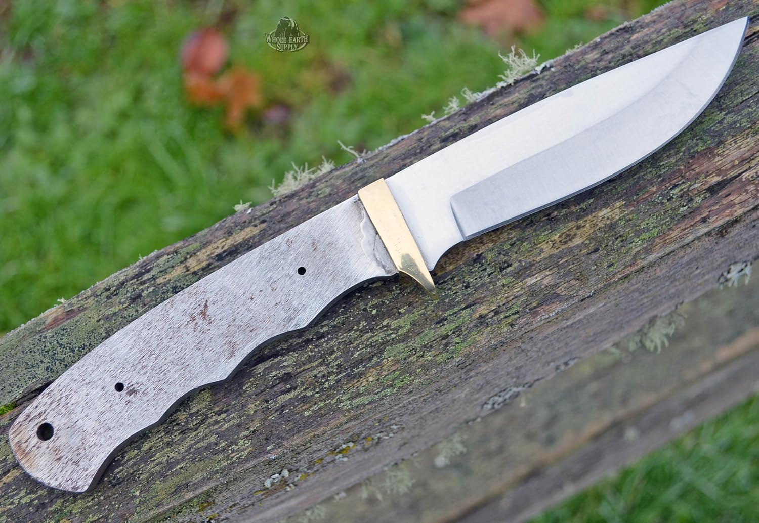 420 Stainless Steel Knife (420 Stainless Steel, 3.5 Inch Blade & 4.5 Inch Blade)