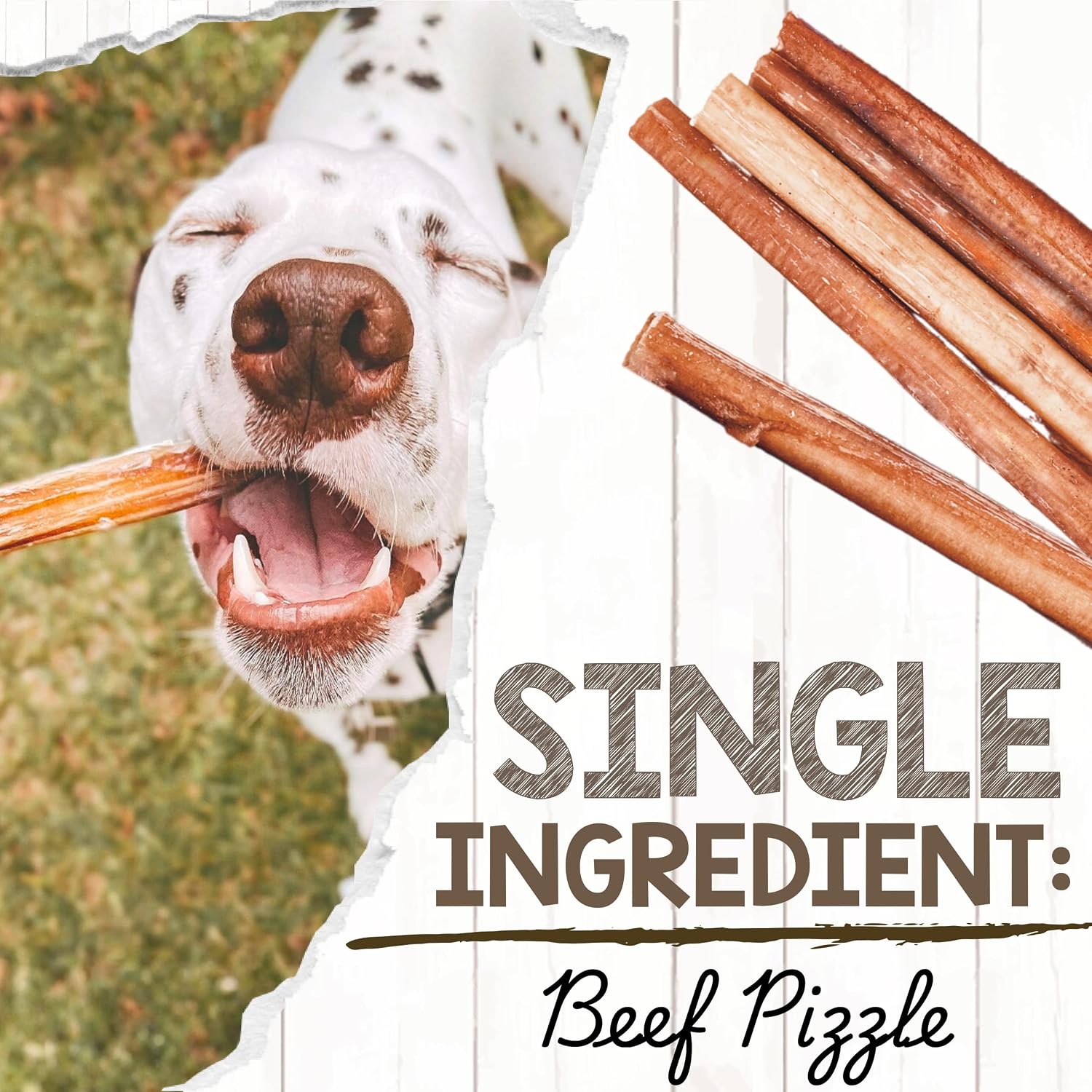 Nature Gnaws Bully Sticks 11-12" Long Lasting Rawhide Free Dog Chews, 8 oz