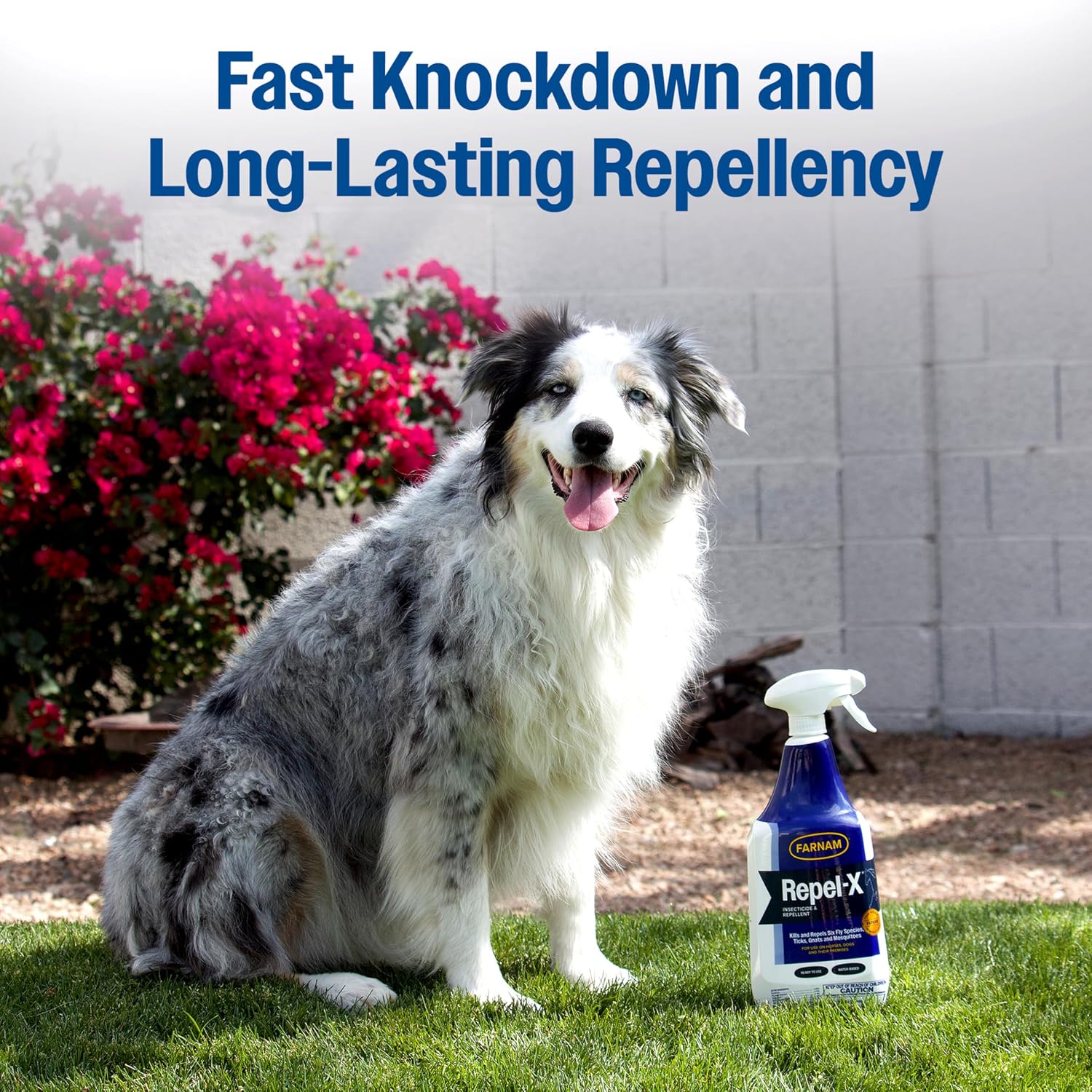 Farnam Repel-X Ready-to-Use Horse Fly Spray for Horses, 32 Fl Oz | Insect Control with Permethrin: Repel-X helps protect horses against barn flies