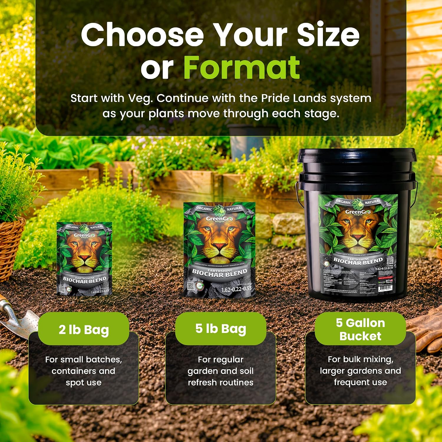 GreenGro Earthshine Biochar & Humic Acid Blend, Activated Charcoal, 2lb | Sequesters Carbon, Organic Soil Booster, Top Soil, Plant Food, Compost Tea Accelerator, Derived from Worm Castings