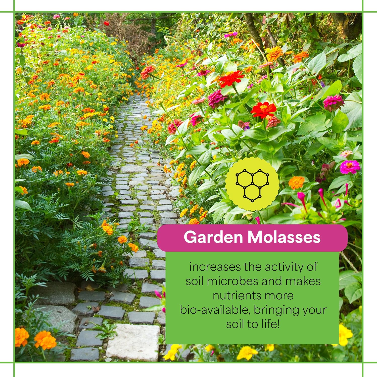 Grow More Garden Molasses for Plants with Yucca Extract - 1 Quart of USA-Made Horticultural Molasses to Boost Growth - Acts as a Soil Conditioner &