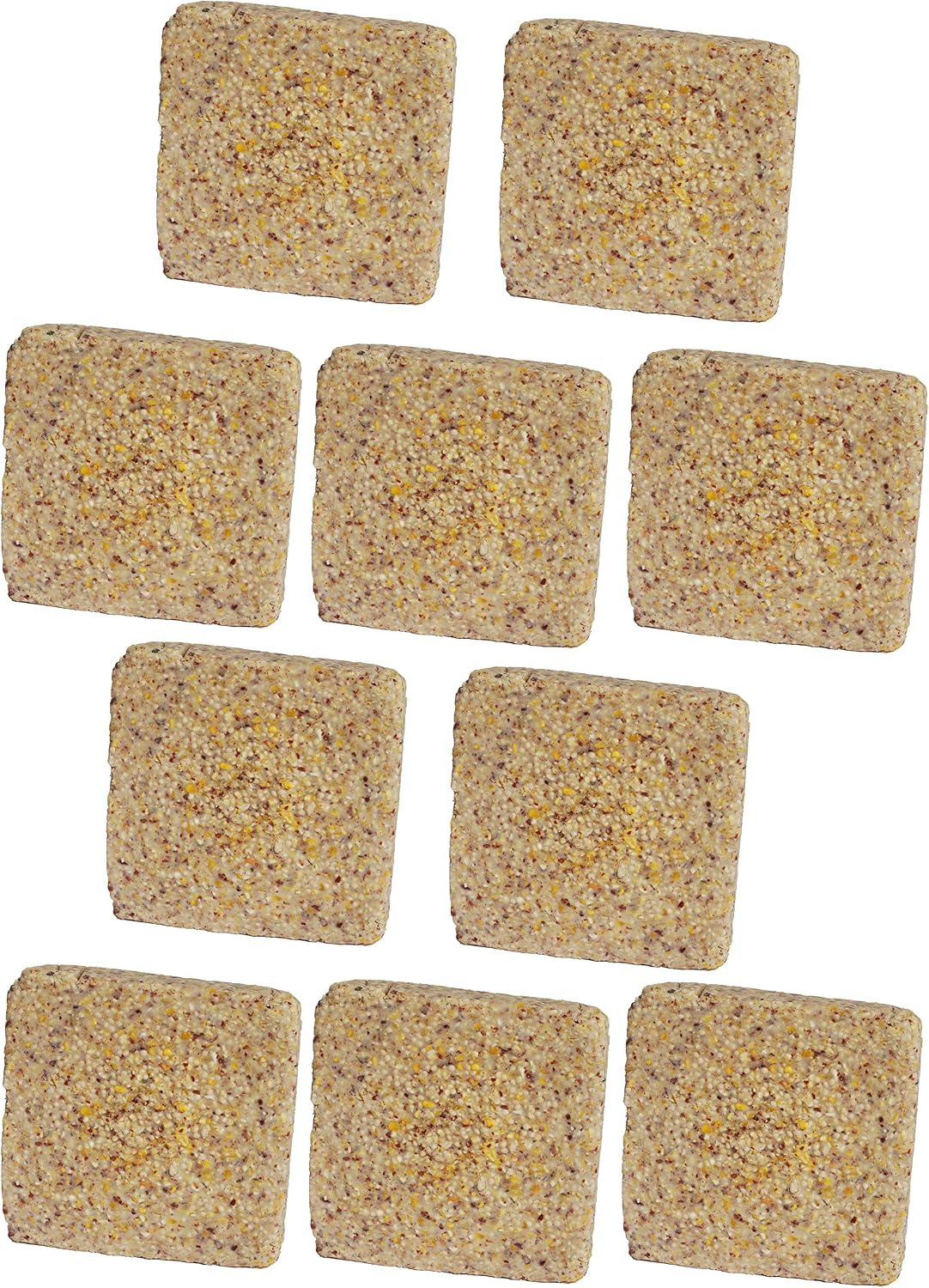 ST. ALBANS BAY SUET PLUS Suet Cake Variety Packs, 11 oz. Wild Bird Suet Cakes (High Energy, 10 Pack)