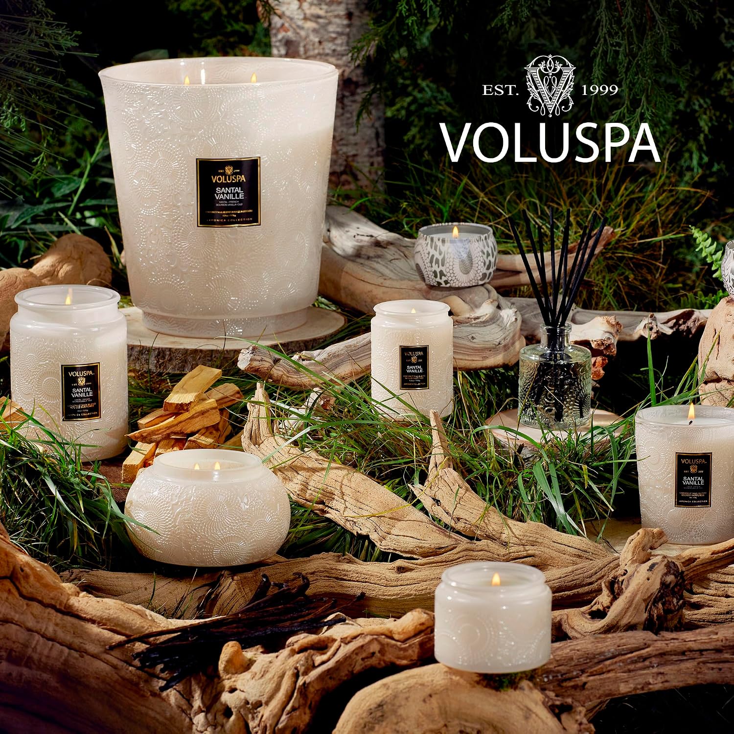 Voluspa Baltic Amber, Small Candle Jar, 5.5 oz, 50 Hour Burn Time, Coconut Wax for Clean Burning, Handcrafted in the USA