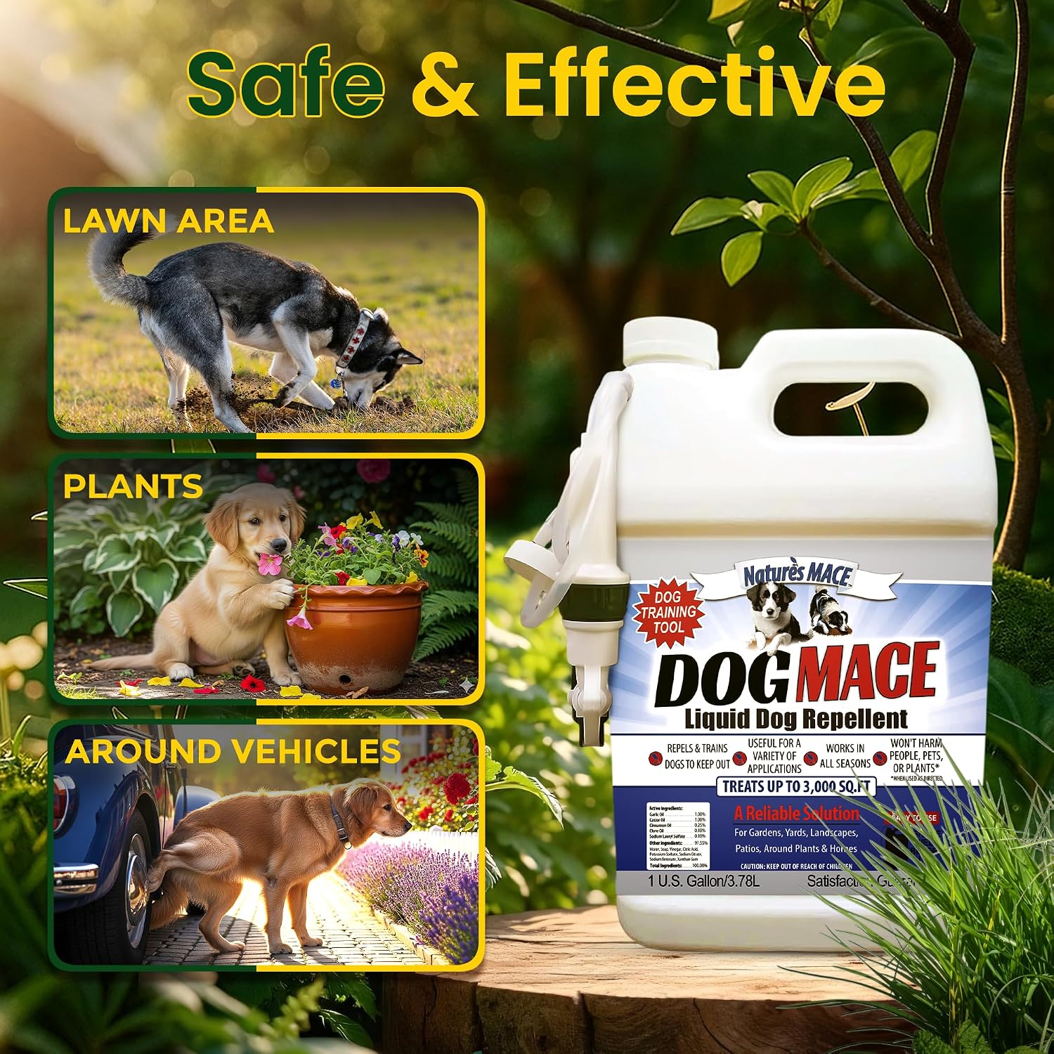 Nature's MACE Dog Mace Dog Repellent 1 Gallon Concentrate | Potty Training Tool Spray, Indoor & Outdoor, Pee Deterrent, Safe Around Kids, Pets, Garden & Plants, Treats 48,000 Sq. Ft.