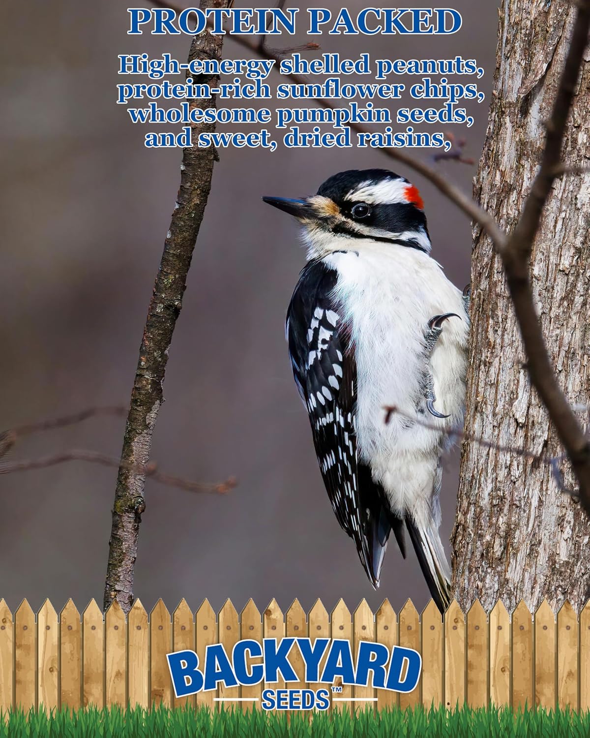 Backyard Seeds Woodpecker No-Waste Bird Seed Mix 5lbs - Premium Shelled Peanuts & Sunflower Chips, Small Bag of Wild Bird Food