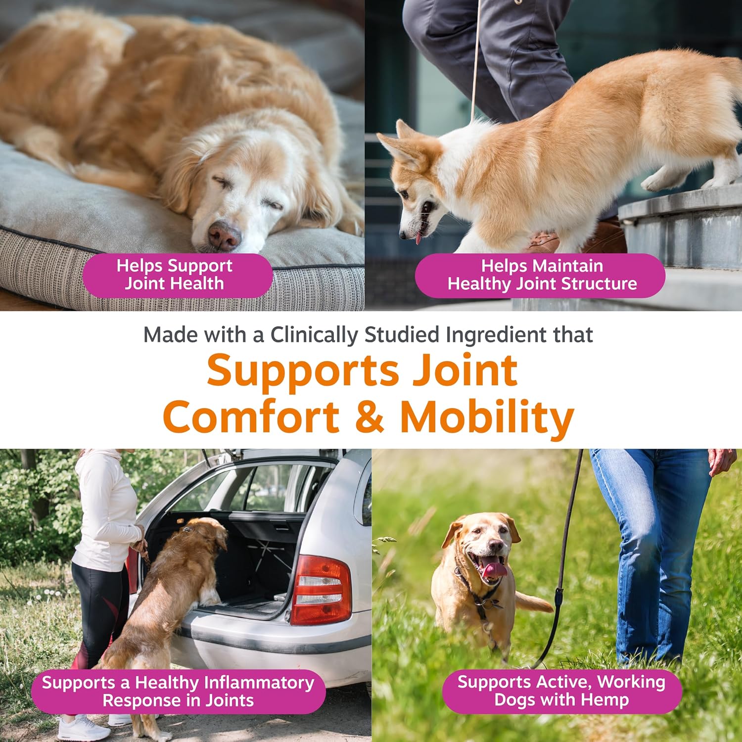 Zesty Paws Hip and Joint Supplement for Dogs - Glucosamine with Chondroitin, MSM, Vitamins C and E Dog Joint Relief - Mobility Bites Duck – 90 Count