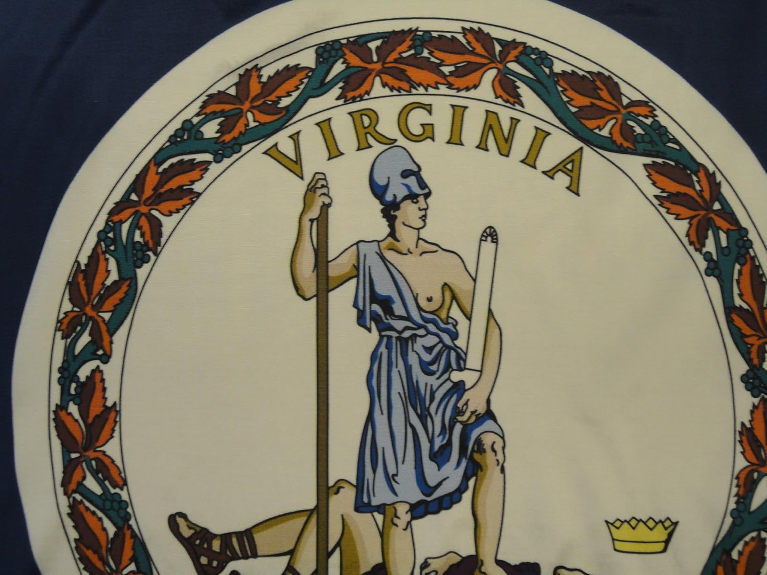 Annin Flagmakers Virginia State Flag USA-Made to Official State Design Specifications, 3 x 5 Feet (Model 145660) | USA-Made to Official State Design Specifications