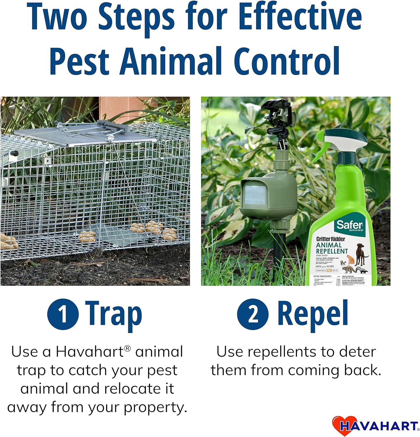 Havahart Easy-Set Catch and Release Small 1-Door Humane Live Animal Trap for Squirrels, Rabbits, Skunks, and Other Small Animals - 1083