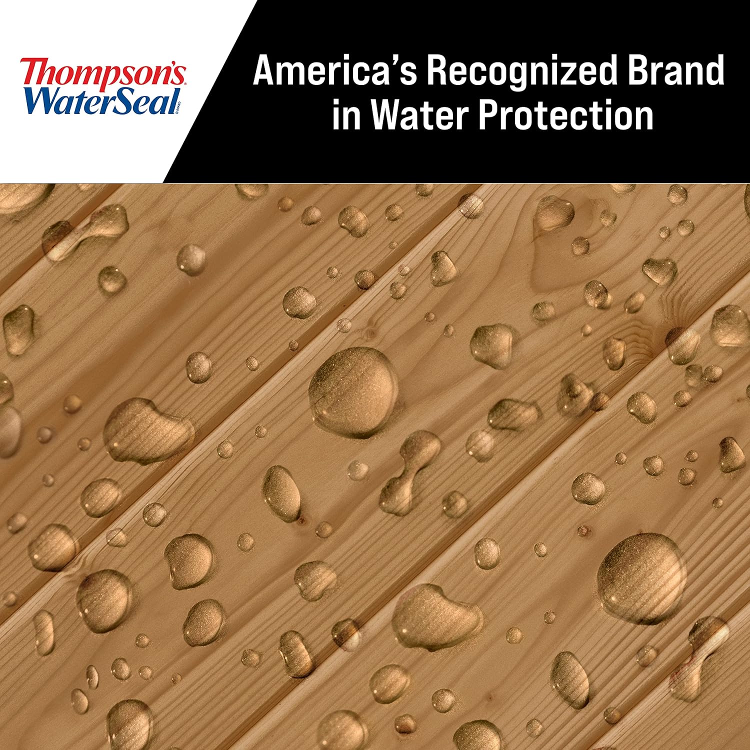 Thompson's WaterSeal TH.049851-16 Penetrating Transparent Timber Oil, Mahogany, 1 Gallon