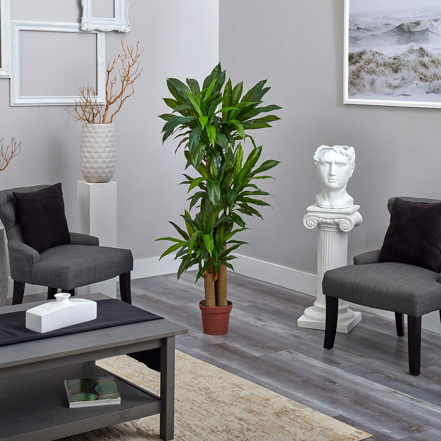 Nearly Natural 62IN Artificial Corn Stalk Dracaena Plant, Tall Fake Plant for Indoor Home Décor, Real Touch Faux Plant | Multi-Tonal Trunks