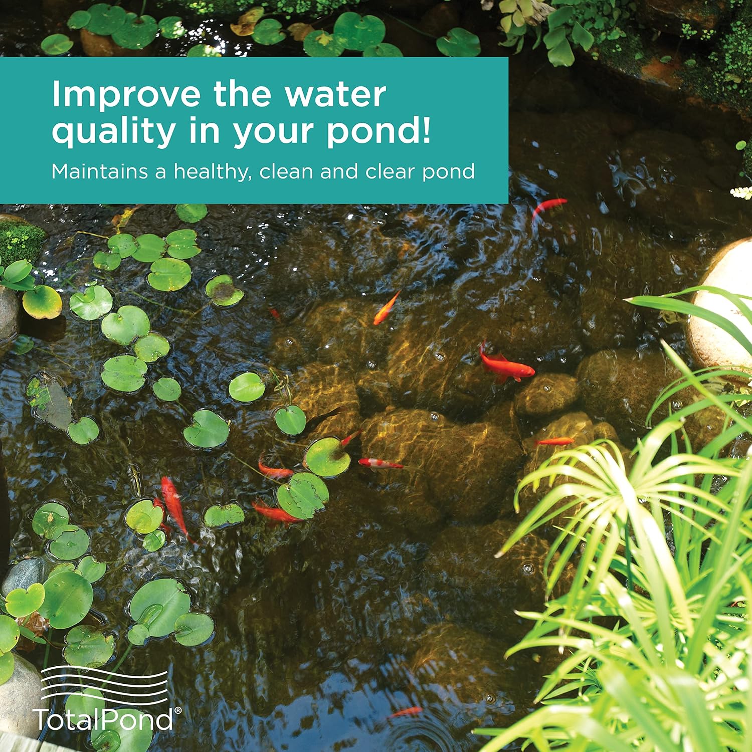 TotalPond Universal Pump Filter Box