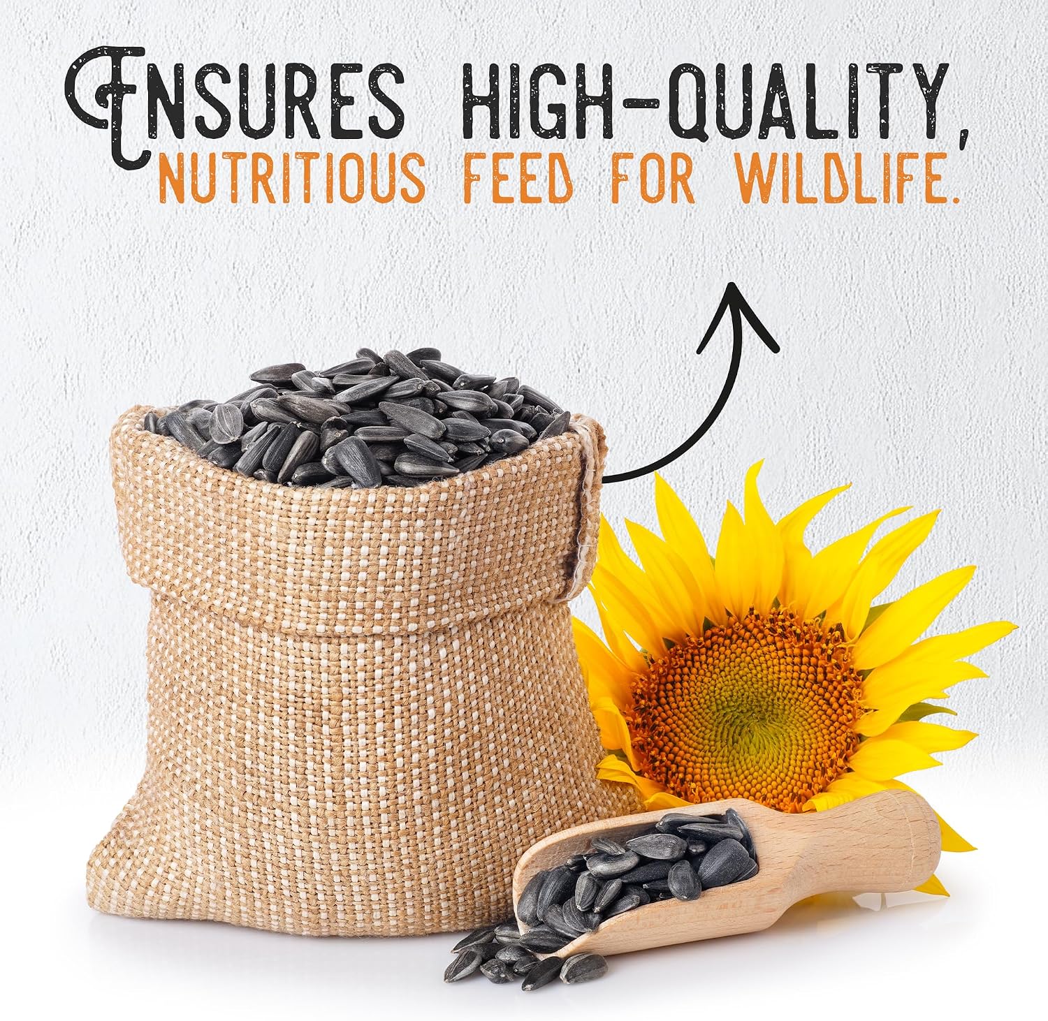 Ernst Grain & Livestock Black Oil Sunflower Seeds - Birdseed for Outside Feeders Wild Bird Food - Ideal Bird Seed for Cardinals