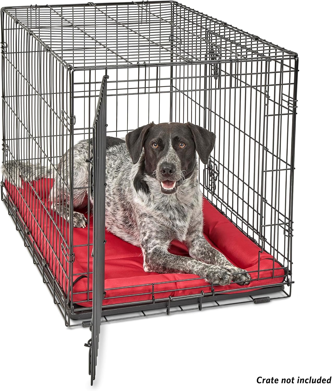 MidWest Homes for Pets Intermediate QuietTime MAXX Ultra-Rugged Dog Bed, Water & Odor Resistant, Bolstered Edge, Non-Slip Bottom, Fits 36-inch Crates, Black