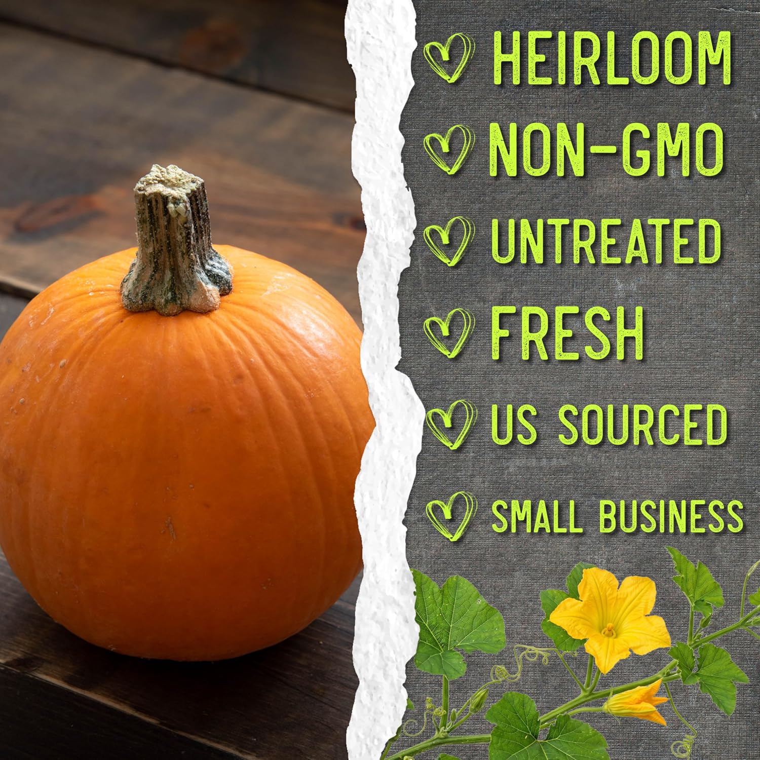 Seed Needs Pumpkin Seeds to Plant 100 Seeds Spooky Mix Non GMO Bulk Pack