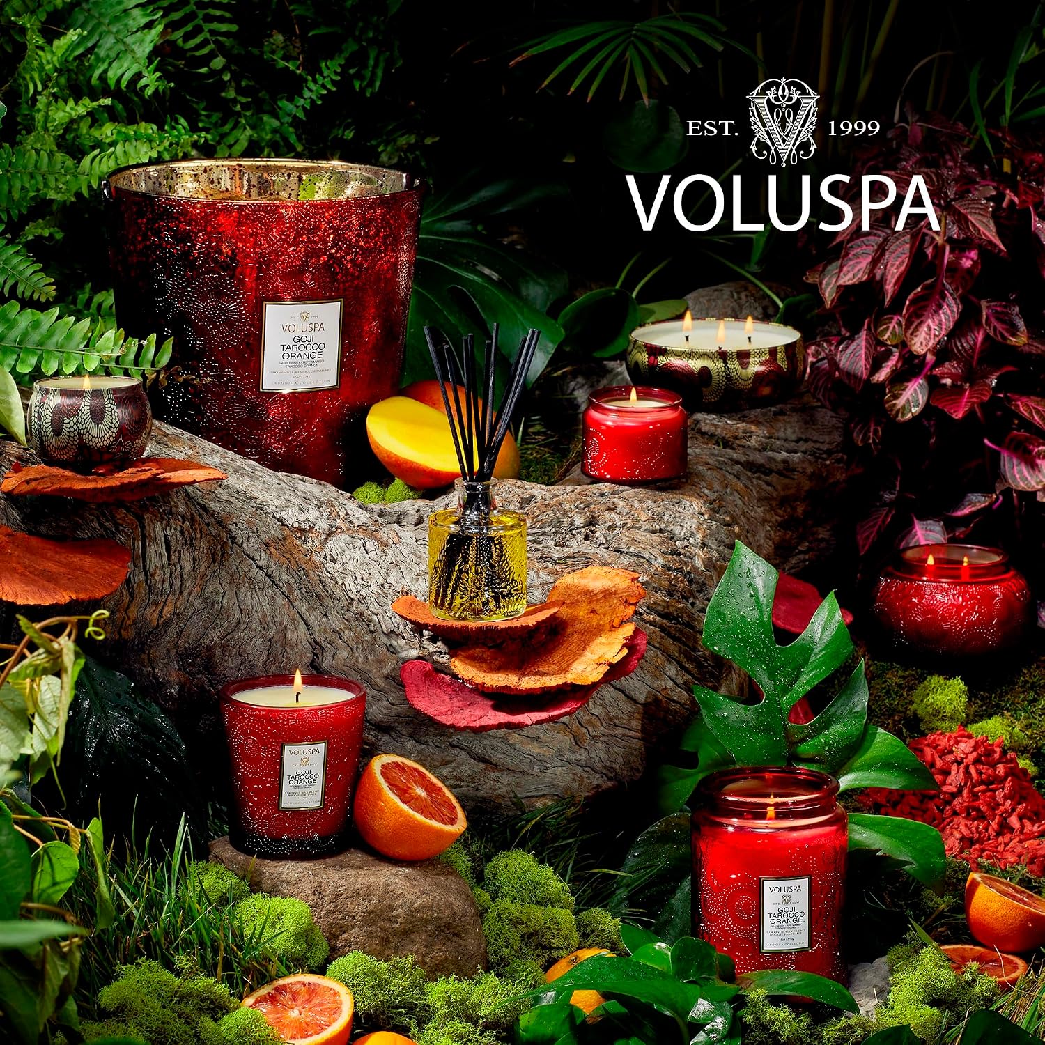 Voluspa Baltic Amber, Small Candle Jar, 5.5 oz, 50 Hour Burn Time, Coconut Wax for Clean Burning, Handcrafted in the USA