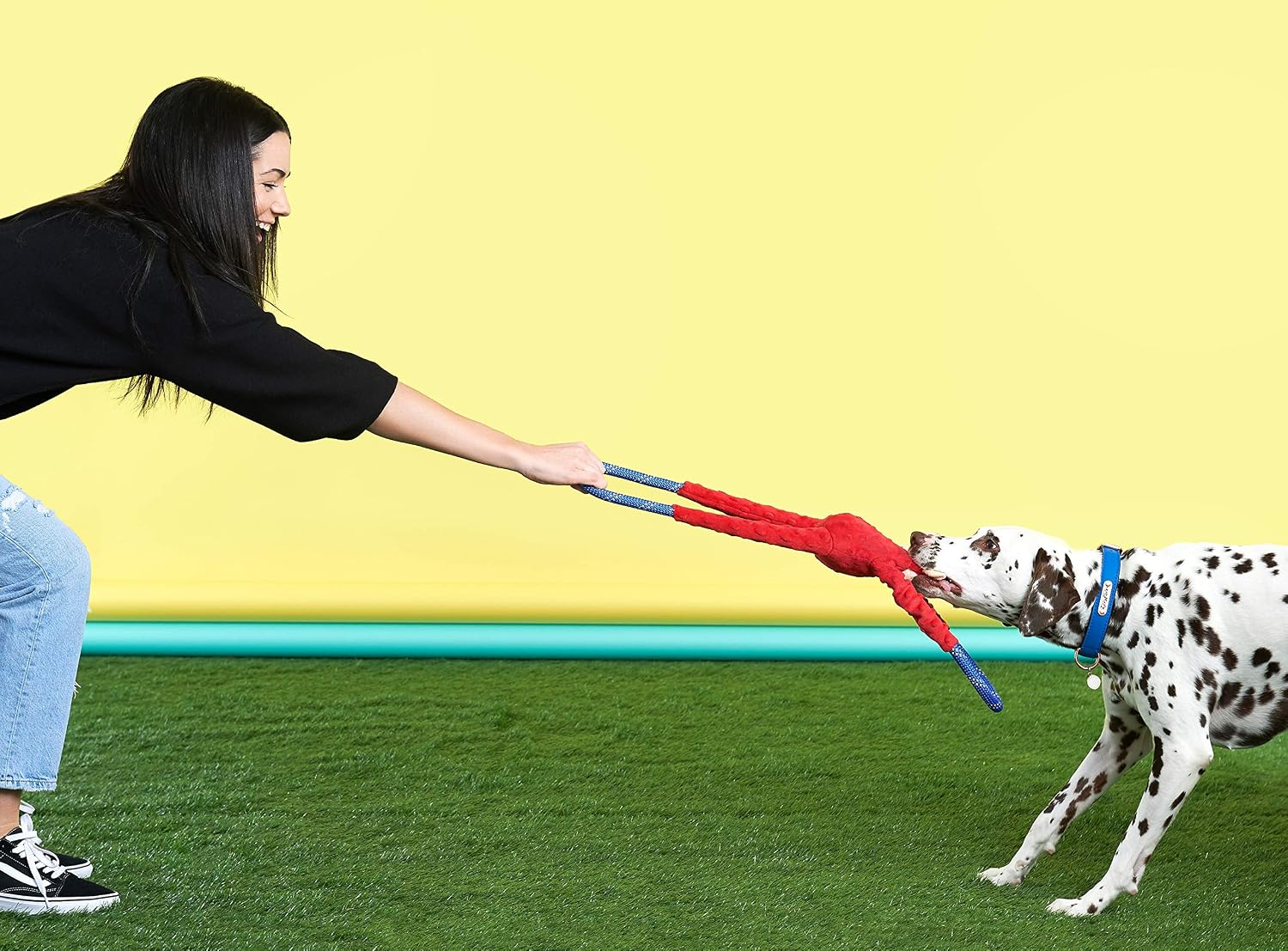ZippyPaws RopeTugz Durable Dog Pull Rope Toy - Blue Monkey | Interactive Tug of War for Large, Medium & Small Dog, Squeaky Pet Product to Keep Them Busy, Made w/ Heavy Duty Climbing Rope