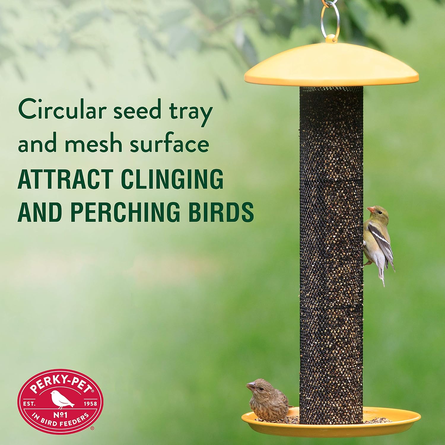 Perky-Pet YSSF00346-2 Straight-Sided Thistle Seed Wire Mesh Tube Finch Bird Feeder | Wire Mesh, Metal Construction, Evenseed Technology