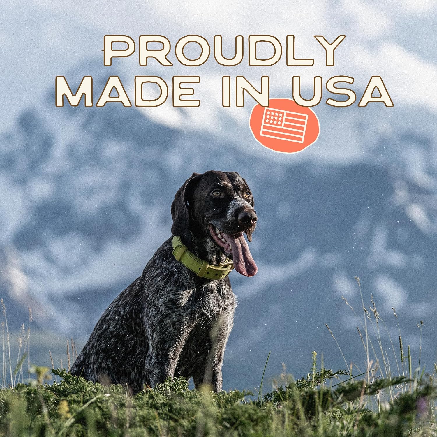 Smart Cookie All Natural Dog Treats - Healthy Hip and Joint Chicken Dog Biscuits with Glucosamine - Ideal for Senior Dogs and Sensitive Stomachs - Dehydrated, Crunchy, Human-Grade, Made in USA - 8oz