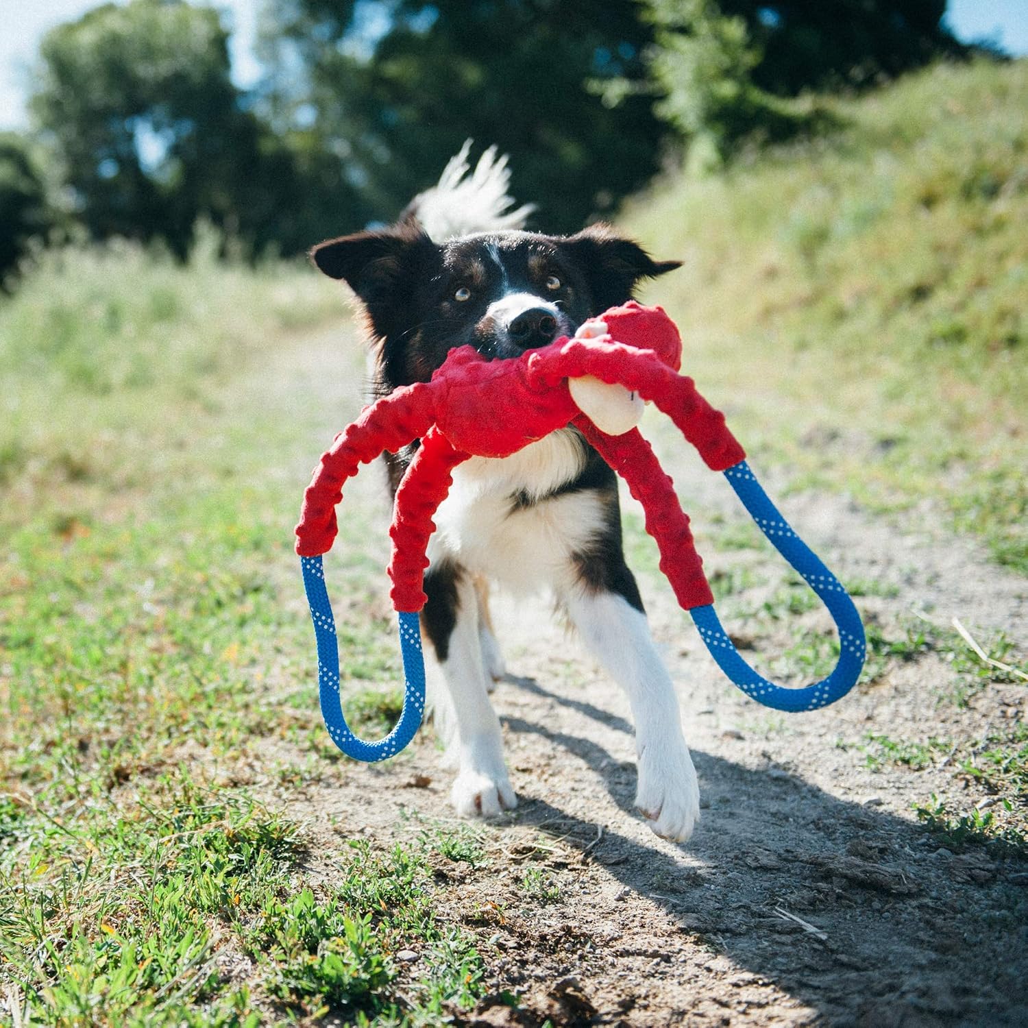 ZippyPaws RopeTugz Durable Dog Pull Rope Toy - Blue Monkey | Interactive Tug of War for Large, Medium & Small Dog, Squeaky Pet Product to Keep Them Busy, Made w/ Heavy Duty Climbing Rope