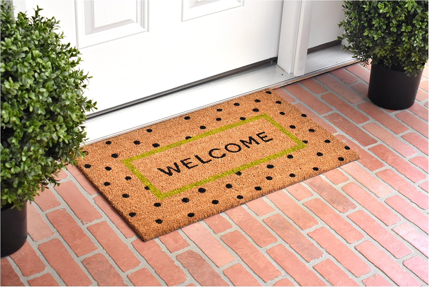 Calloway Mills 103991729 Polka-dot Fun Doormat, 17" x 29:, Natural/Green/Black