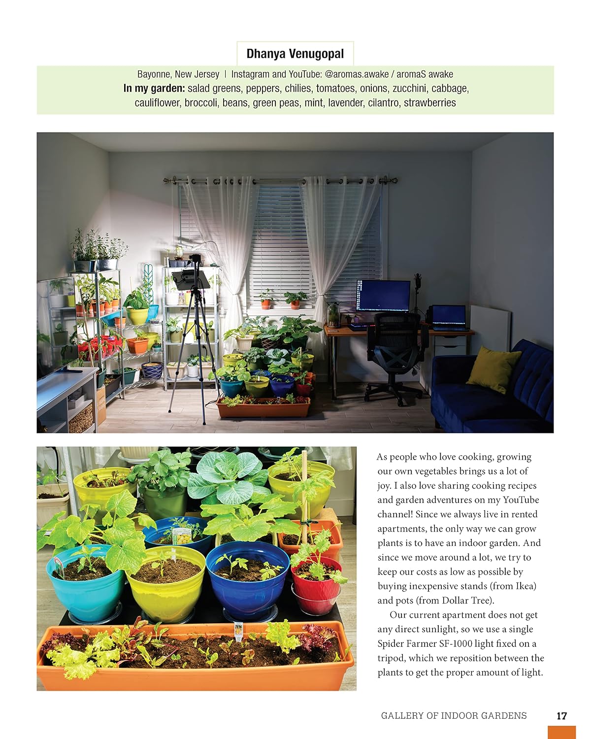 How to Garden Indoors & Grow Your Own Food Year-Round: Ultimate Guide to Vertical, Container, and Hydroponic Gardening (Creative Homeowner) Vegetables