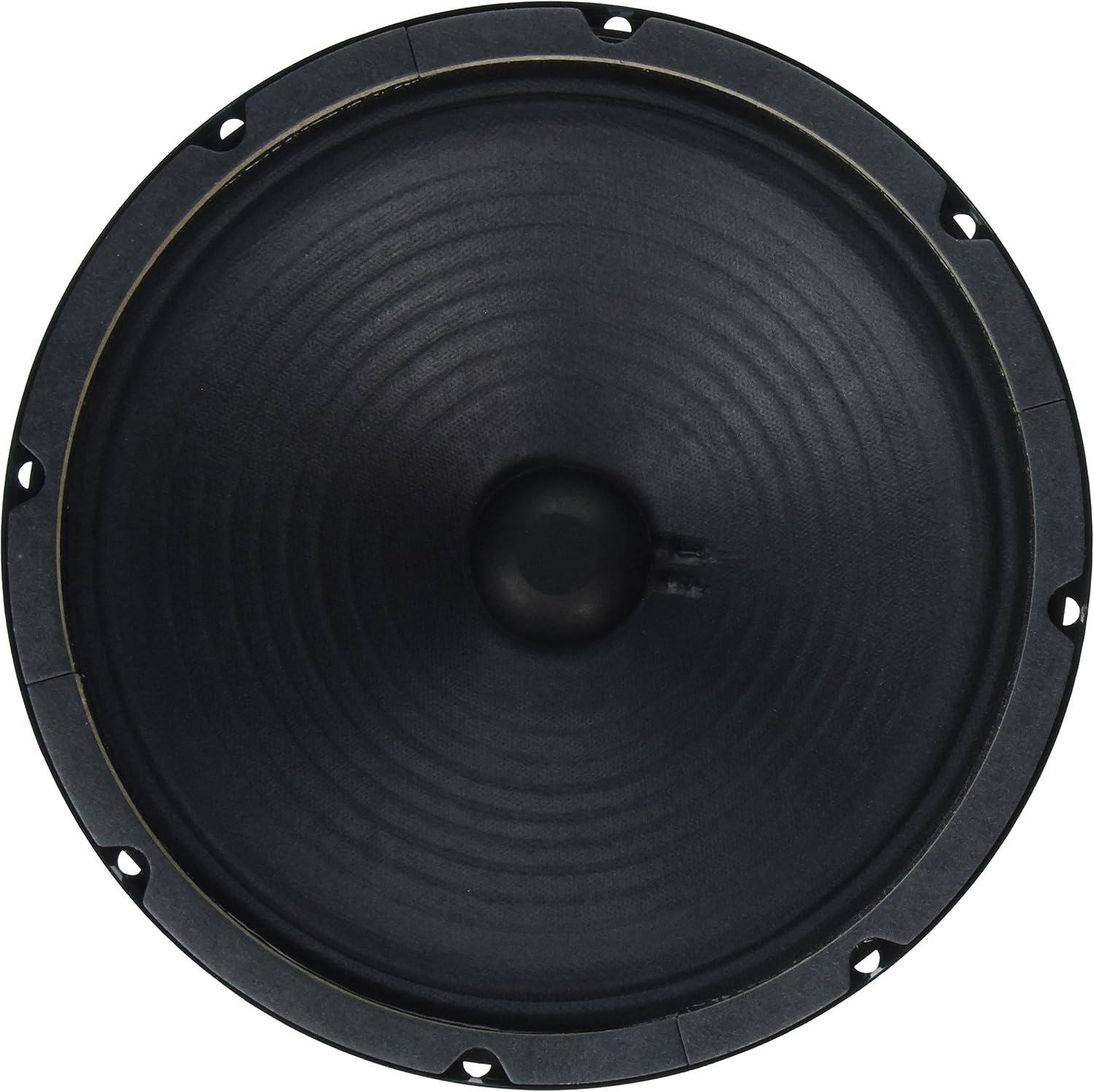 Jensen Speaker, Green, 12-Inch (C12Q16)