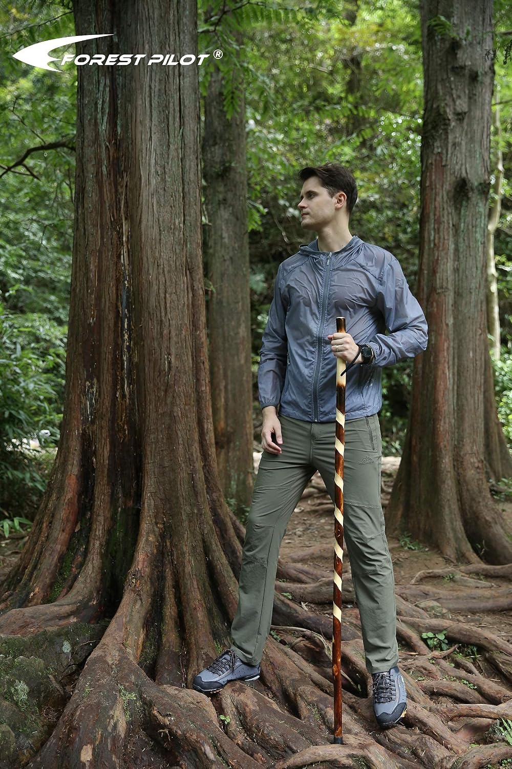 FOREST PILOT Handcrafted Nature Wood Hiking Stick 55 Inches Long - with Hand Strap and Rubber Tip Cover - Transparent Waterproof Painting Coating
