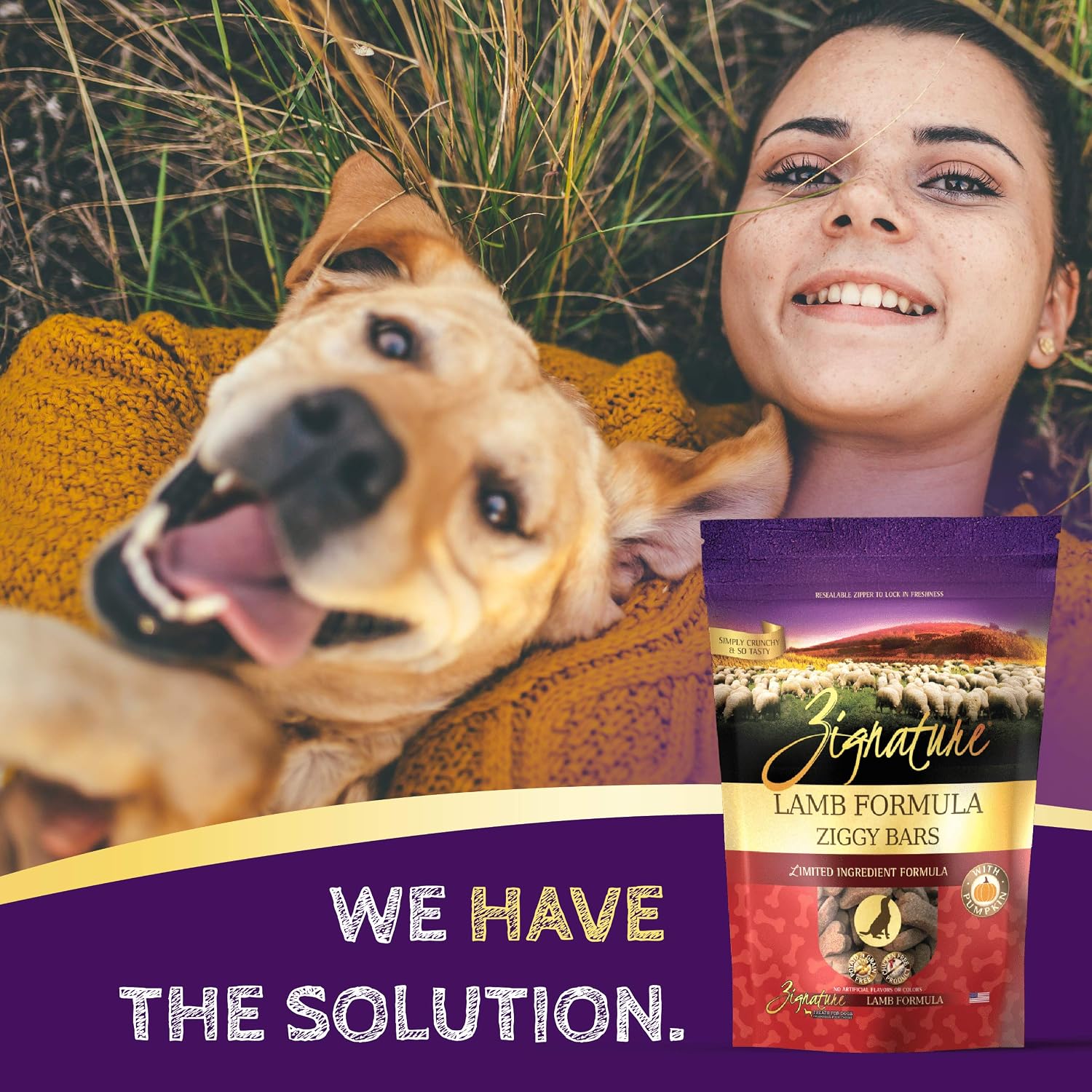 Zignature Duck Limited Ingredient Formula Biscuit Dog Treat 12oz