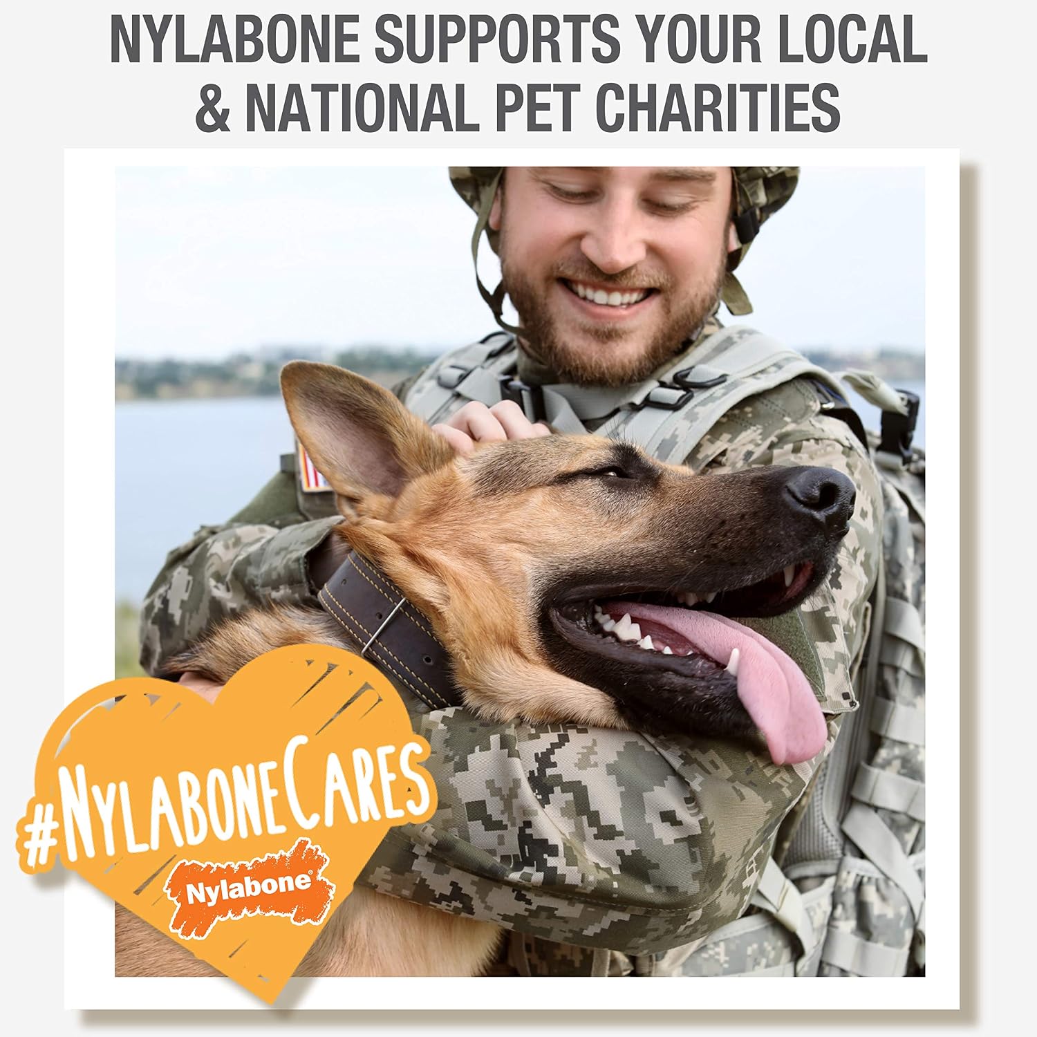 Nylabone Healthy Edibles Wild Dog Treats, Venison Flavor, Large | Natural dog chew bones, made in USA, highly digestible dog chews, long lasting chews for large dogs up to 50 lbs