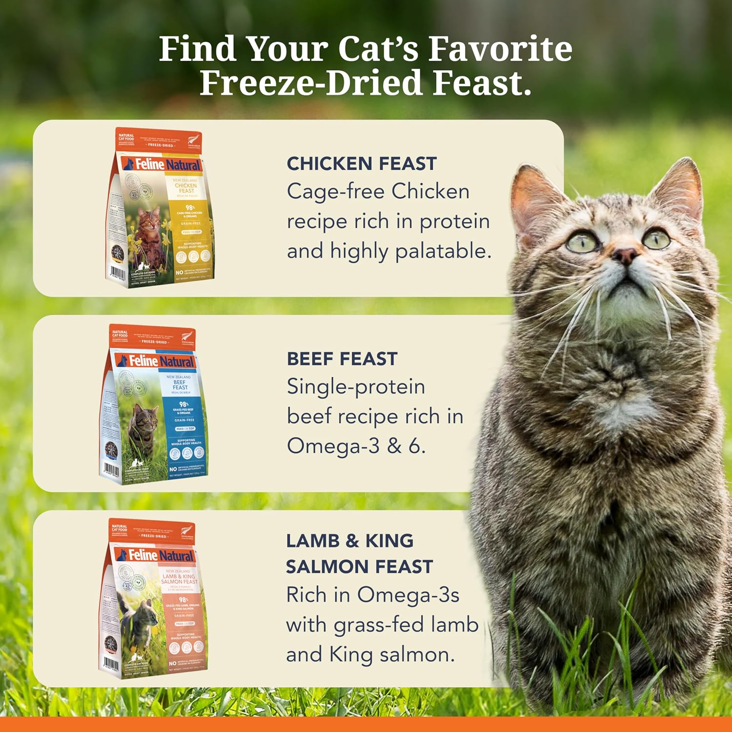 Feline Natural - High Protein Freeze Dried Dry Cat Food with 98% Meat