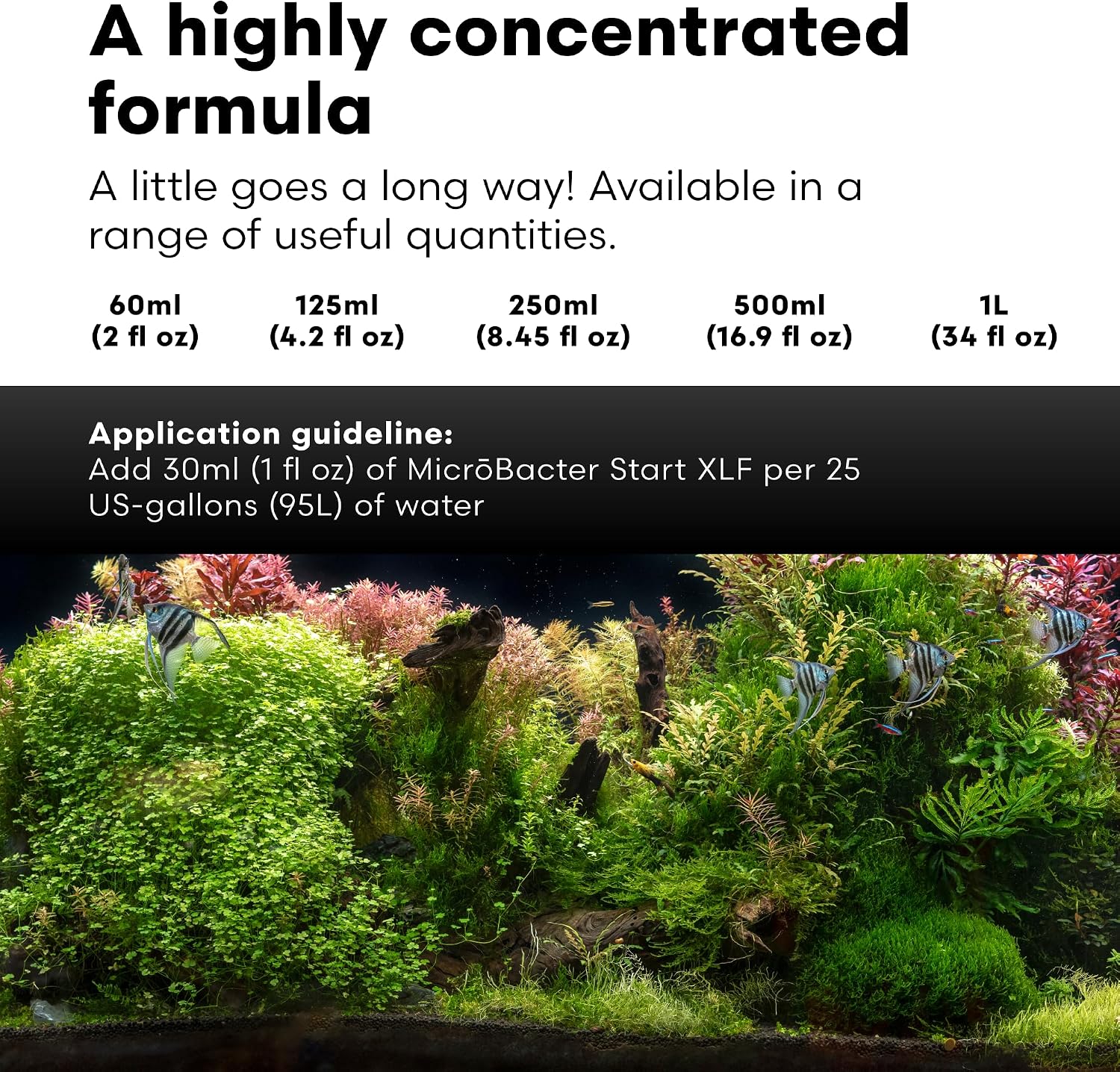 Brightwell Aquatics MicroBacter Start XLF Freshwater Tank Starter, 125 ml