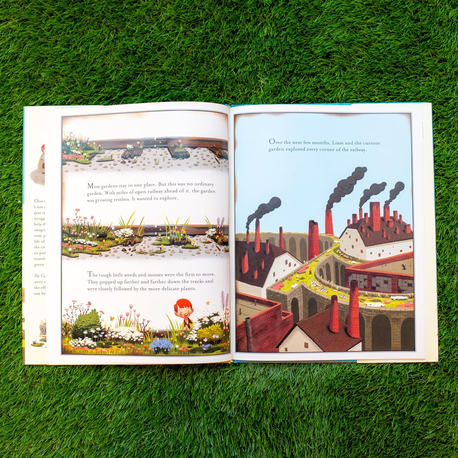 The Curious Garden