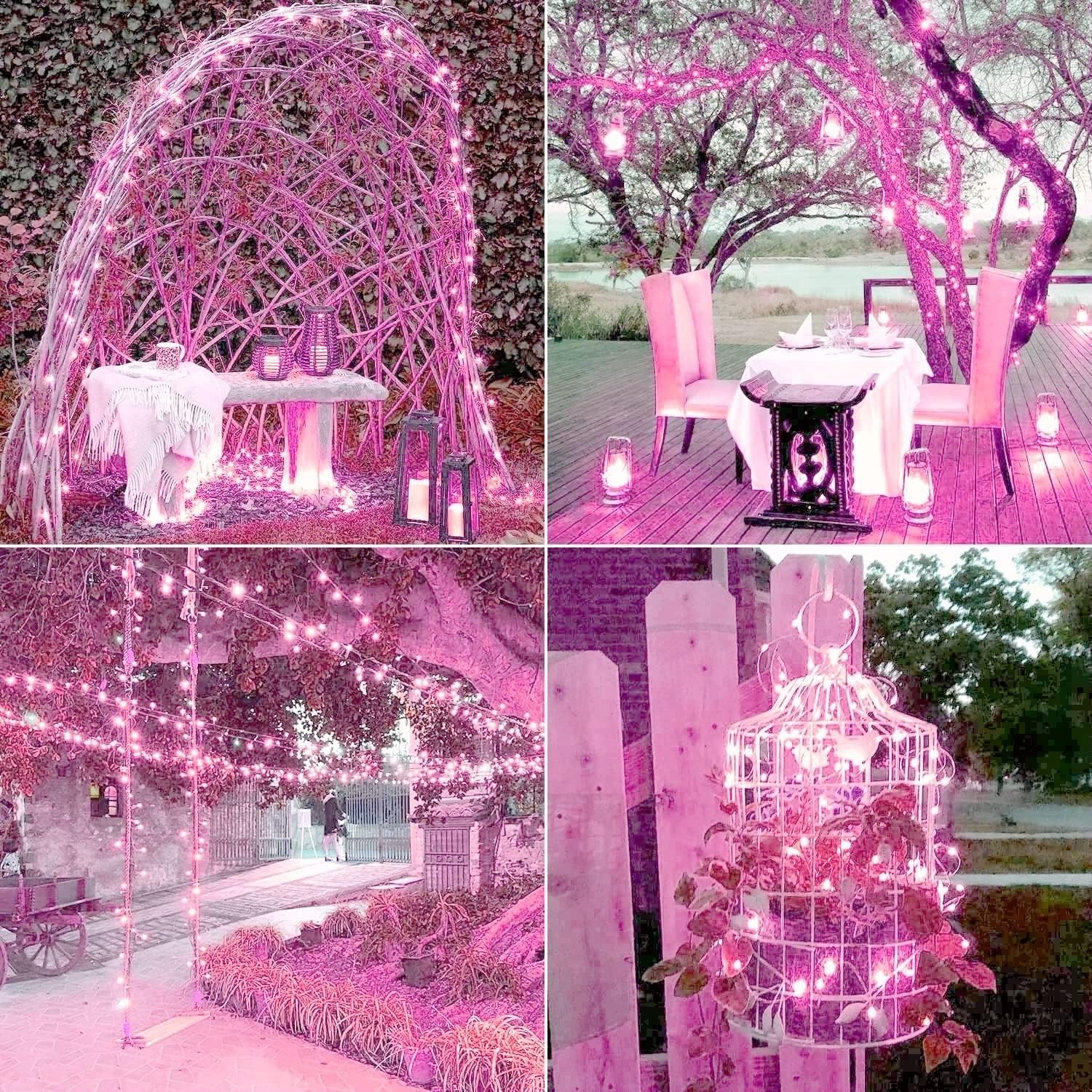 JMEXSUSS 2 Pack Solar String Lights Outdoor Total 66FT 200LED Fairy Lights | Outdoor Waterproof, 8 Modes Solar Christmas Lights for Outside Garden Tree Patio Yard Wedding Christmas Decorations, White
