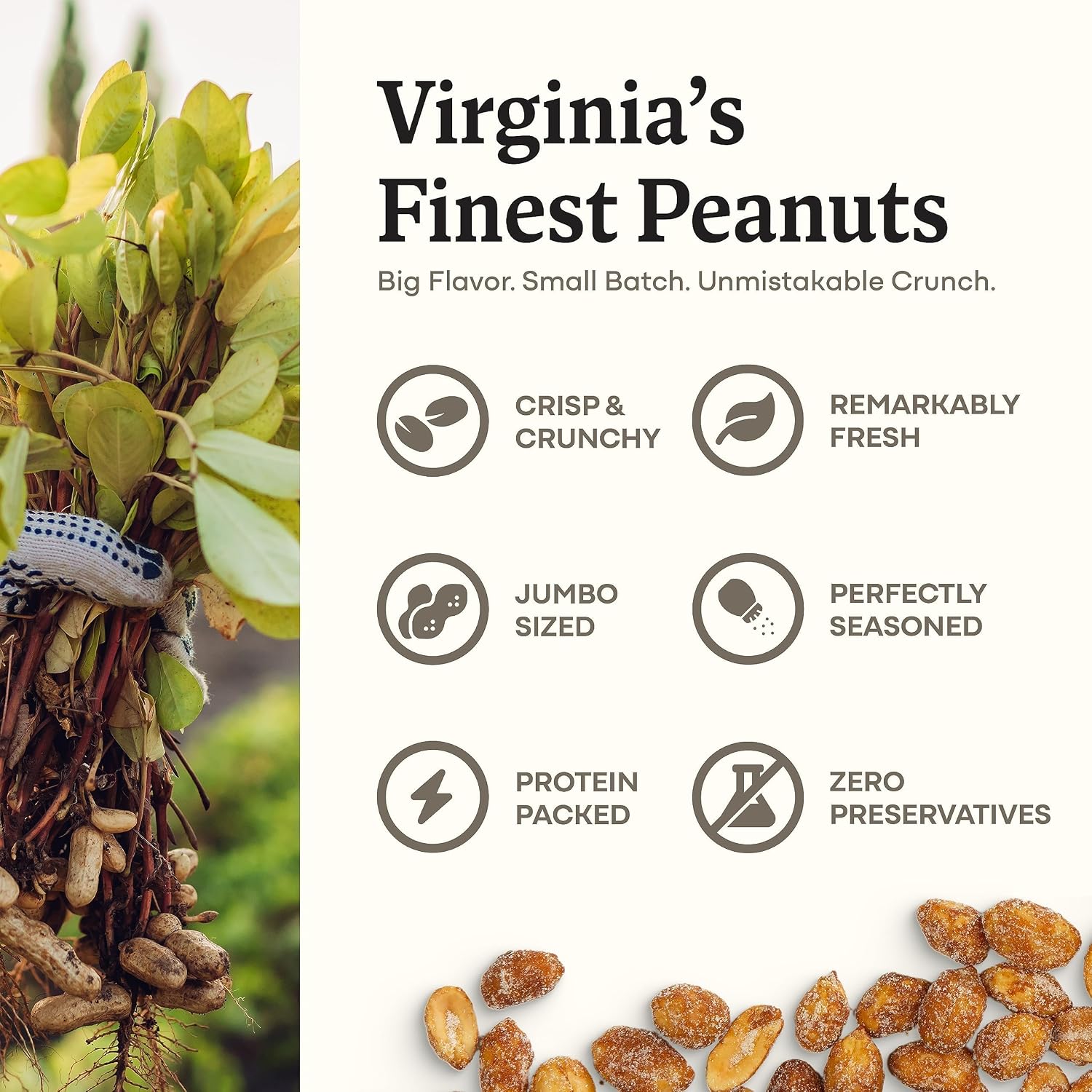 Belmont Peanuts Gourmet Sea-Salted Virginia Peanuts, 20 oz (1 Pack) – Only 3 Simple Ingredients, No Preservatives, 7g Protein – A Premium, Salty, Crunchy, Hand Seasoned Snack