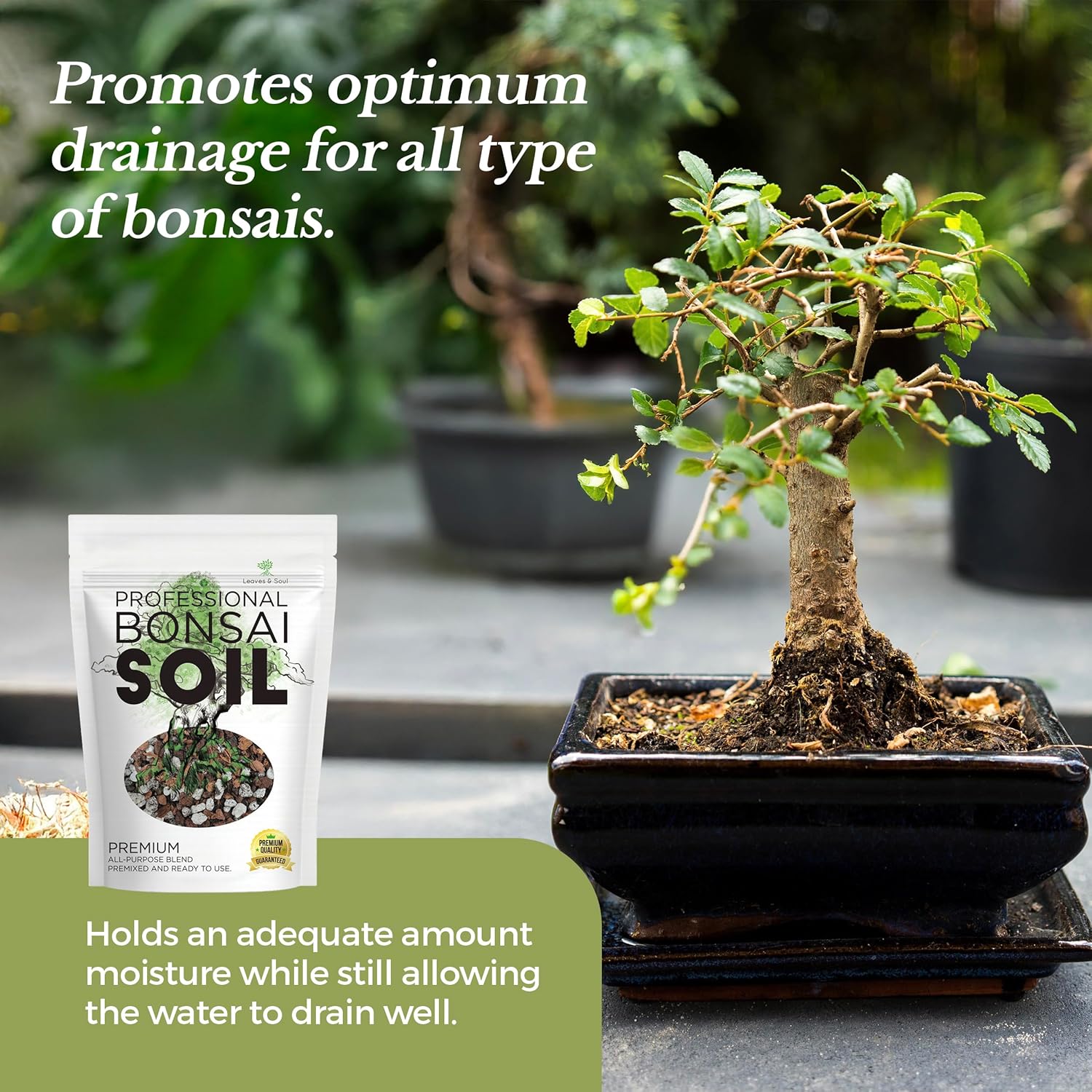 Professional Bonsai Soil Mix Ready to Use | Large 2.2 Quarts, Premium Potting Soil for Bonsai Trees