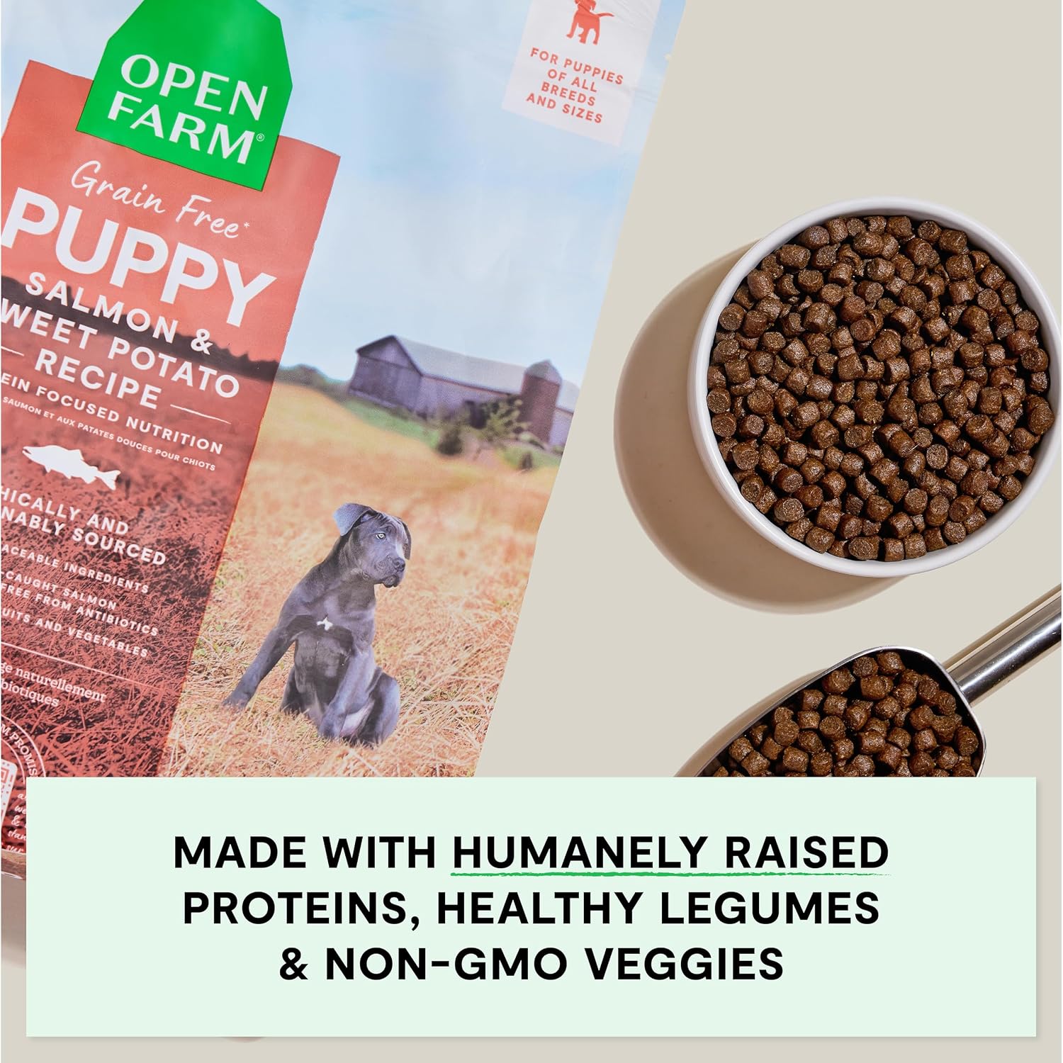 Open Farm Ancient Grains Dry Puppy Food, Chicken & Salmon Kibble, 4lb Bag