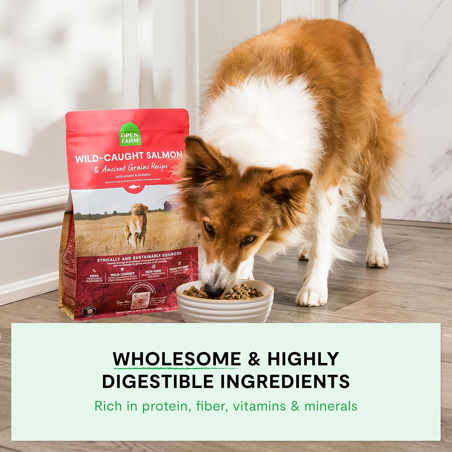 Open Farm Ancient Grains Dry Puppy Food, Chicken & Salmon Kibble, 4lb Bag