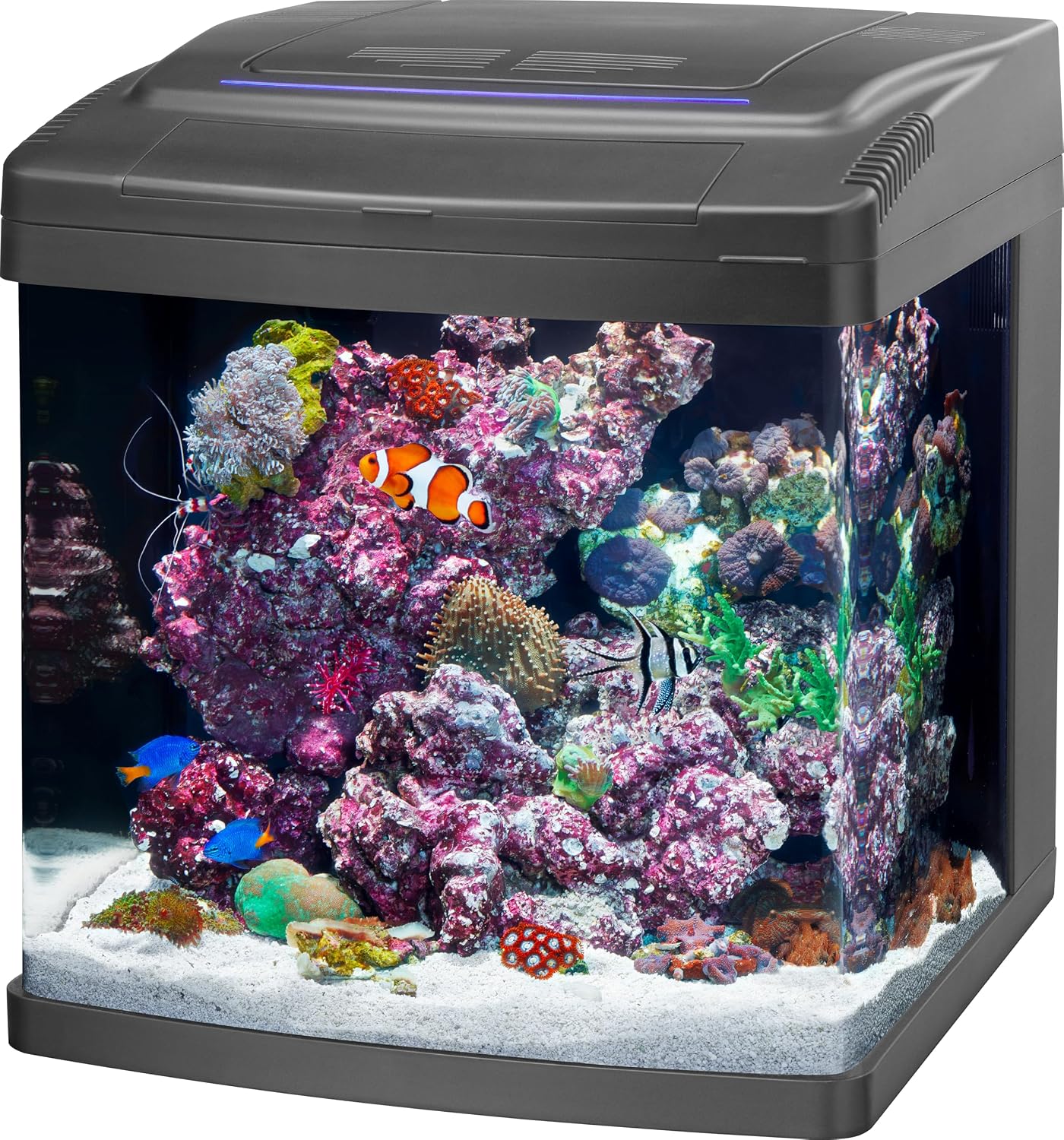 Coralife BioCube, Aquarium Kit, Nano Tank, Customizable LED Lighting, for Saltwater and Freshwater Environments, 16 Gallons
